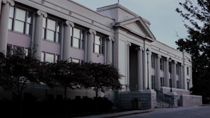 A large, classical-style building with tall, white columns and multiple windows. The structure exhibits architectural details reminiscent of a neoclassical design, featuring plant-covered areas in the foreground and a sidewalk leading to an entrance with stairs.