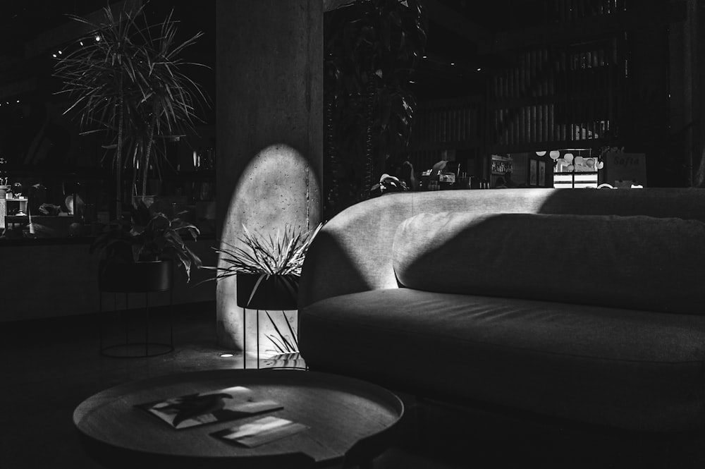 sunlight going to the room by empty sofa