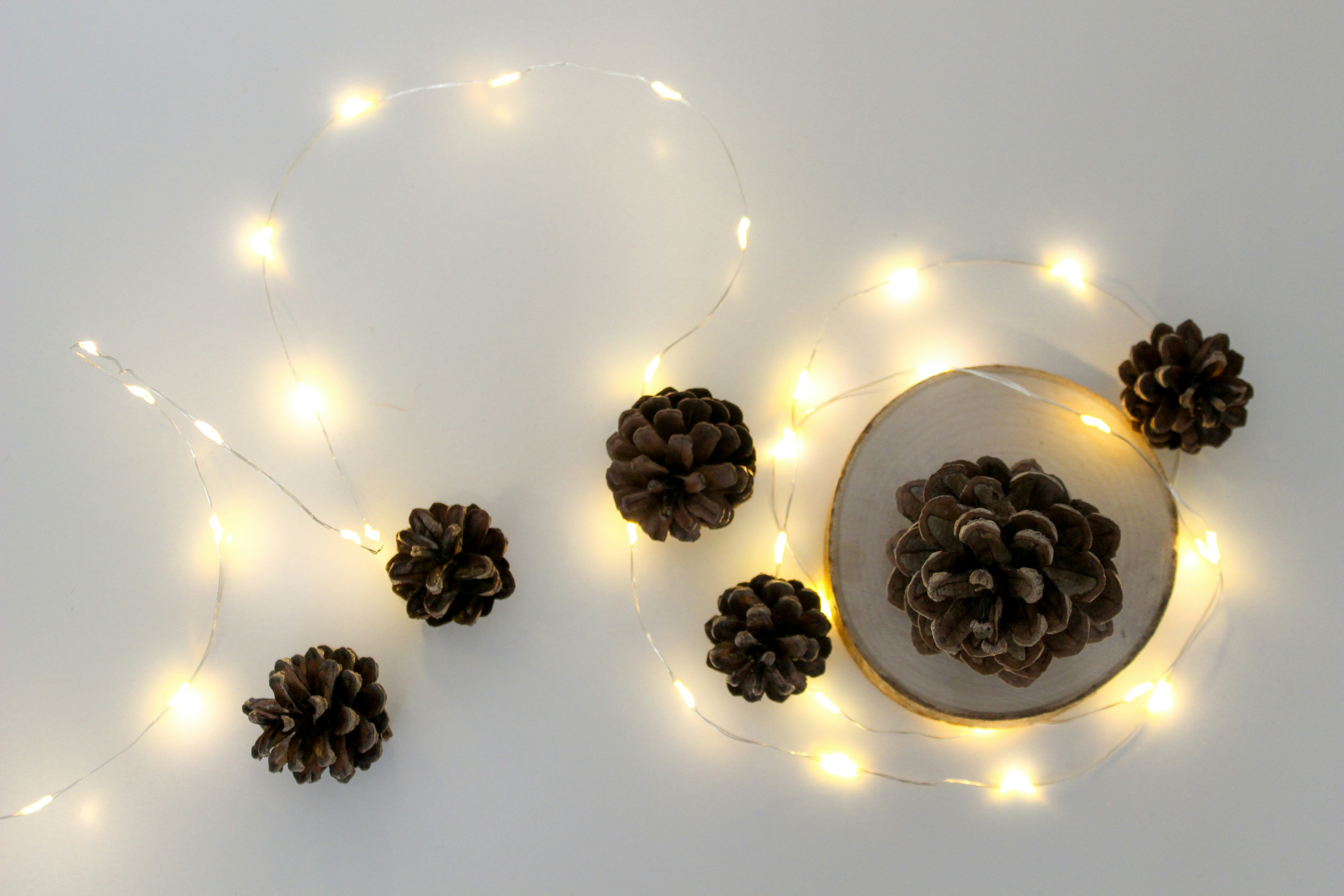 Photo by angelinajlv