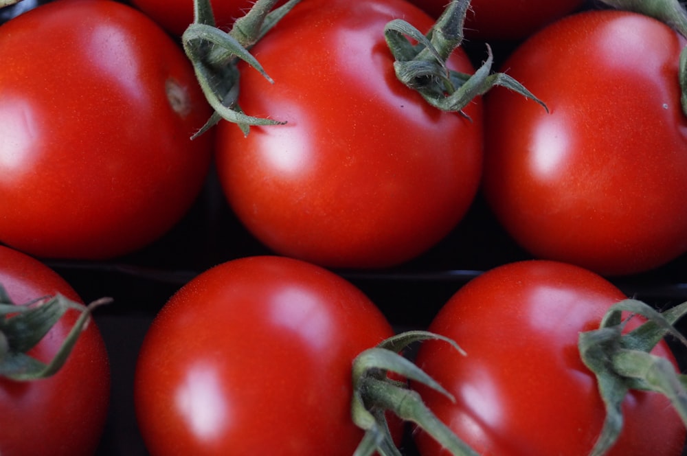 red tomato fruits