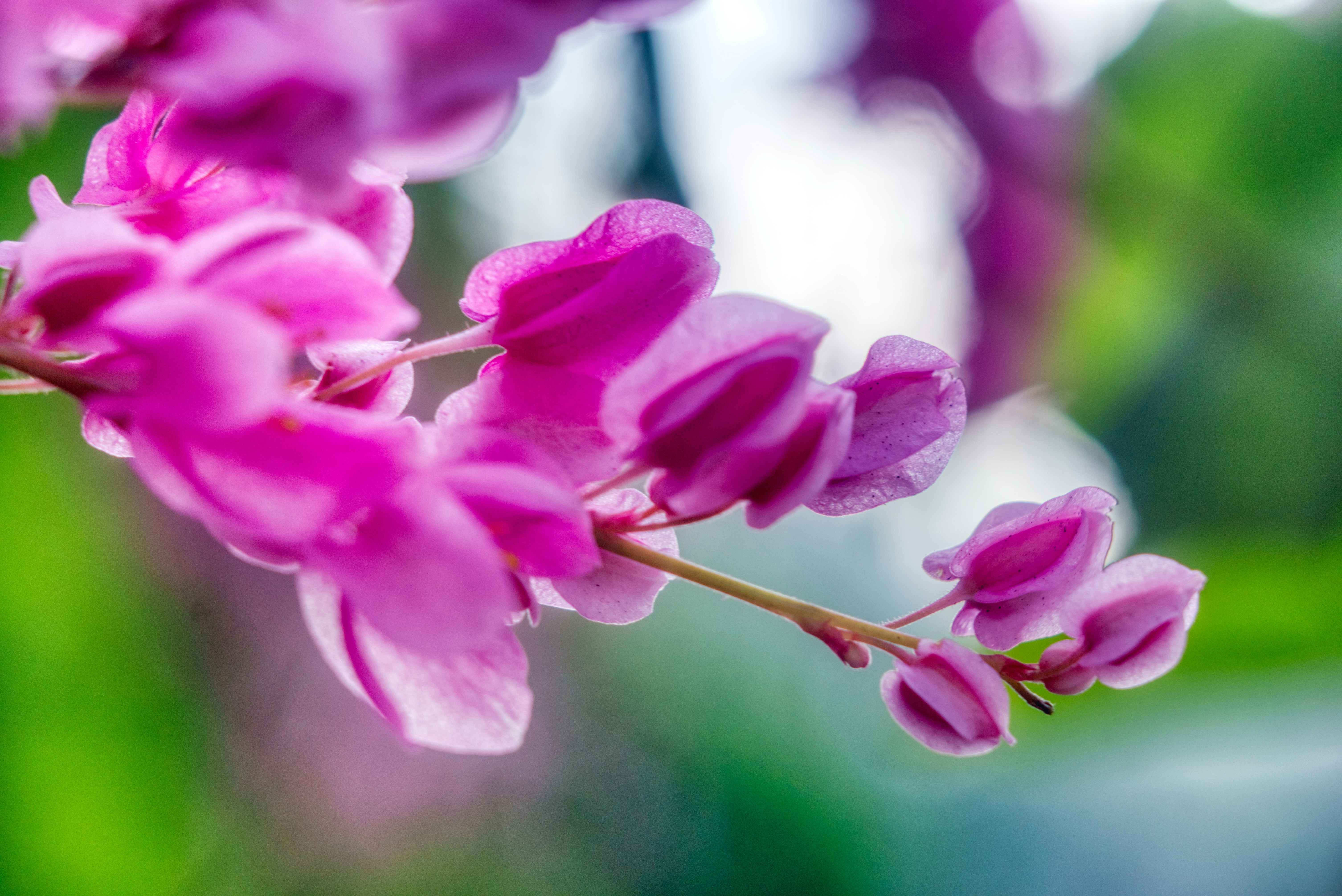 Photo by thomaskinto