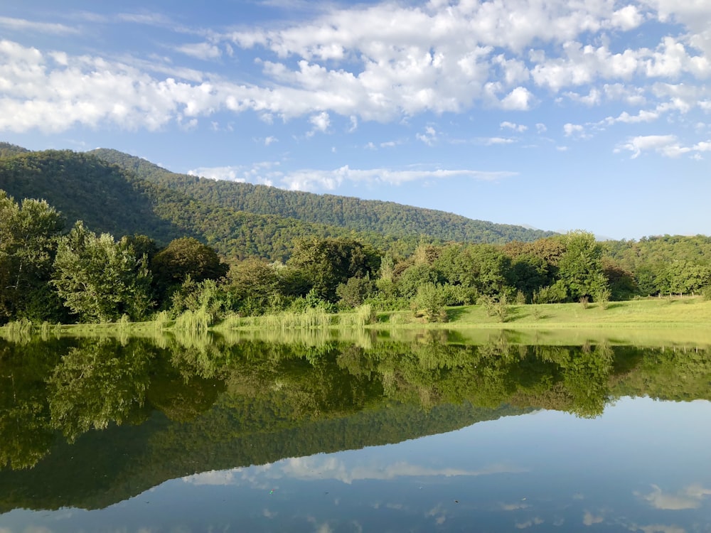 Bäume in der Nähe eines ruhigen Gewässers unter weißem und blauem Himmel