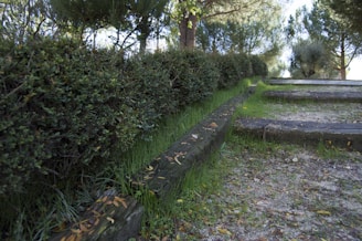 A serene outdoor space with neatly trimmed hedges and a stone pathway.