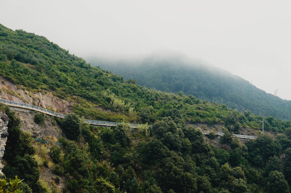 a scenic view of a mountain side road