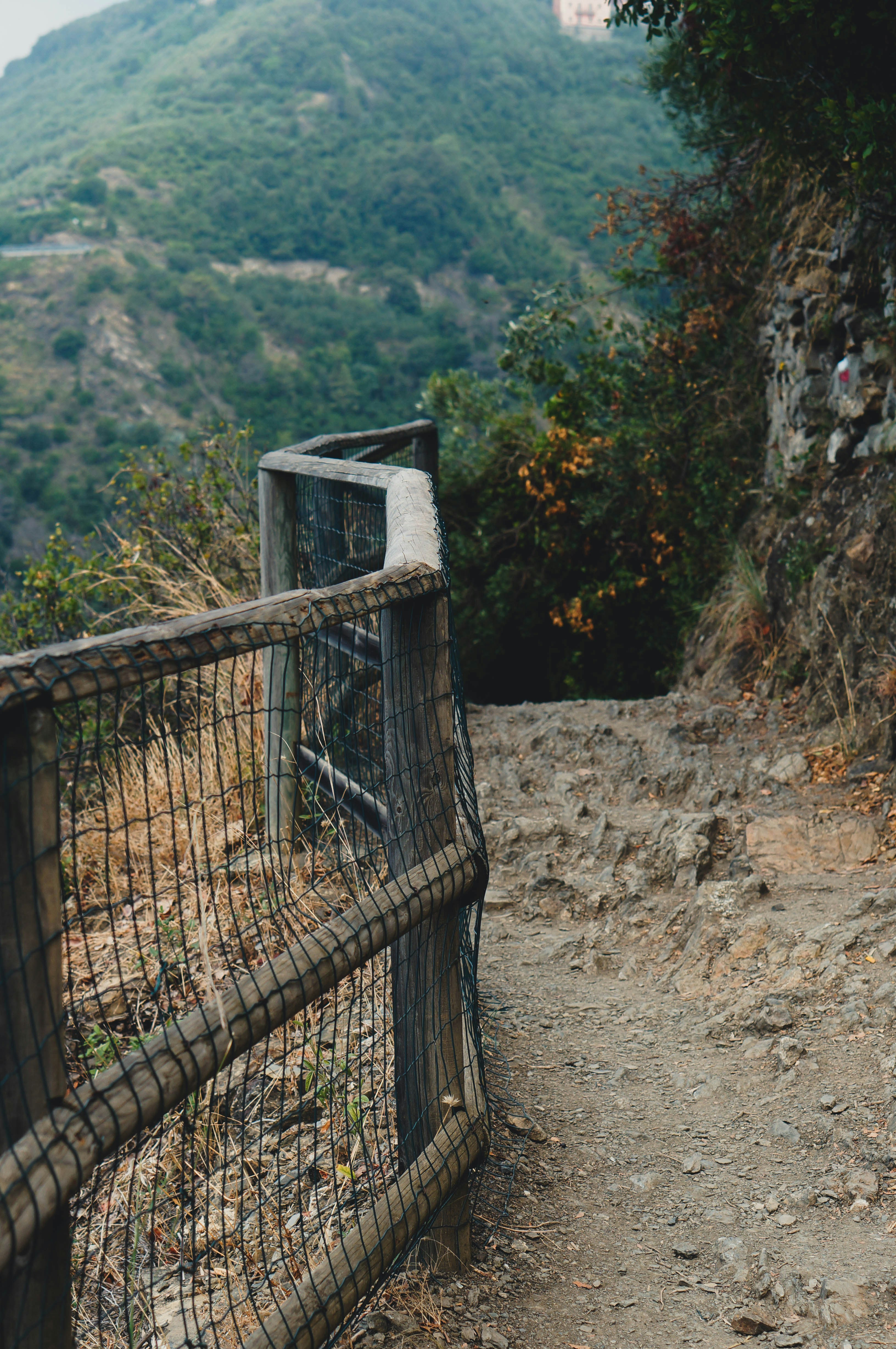 empty road covered by fence
