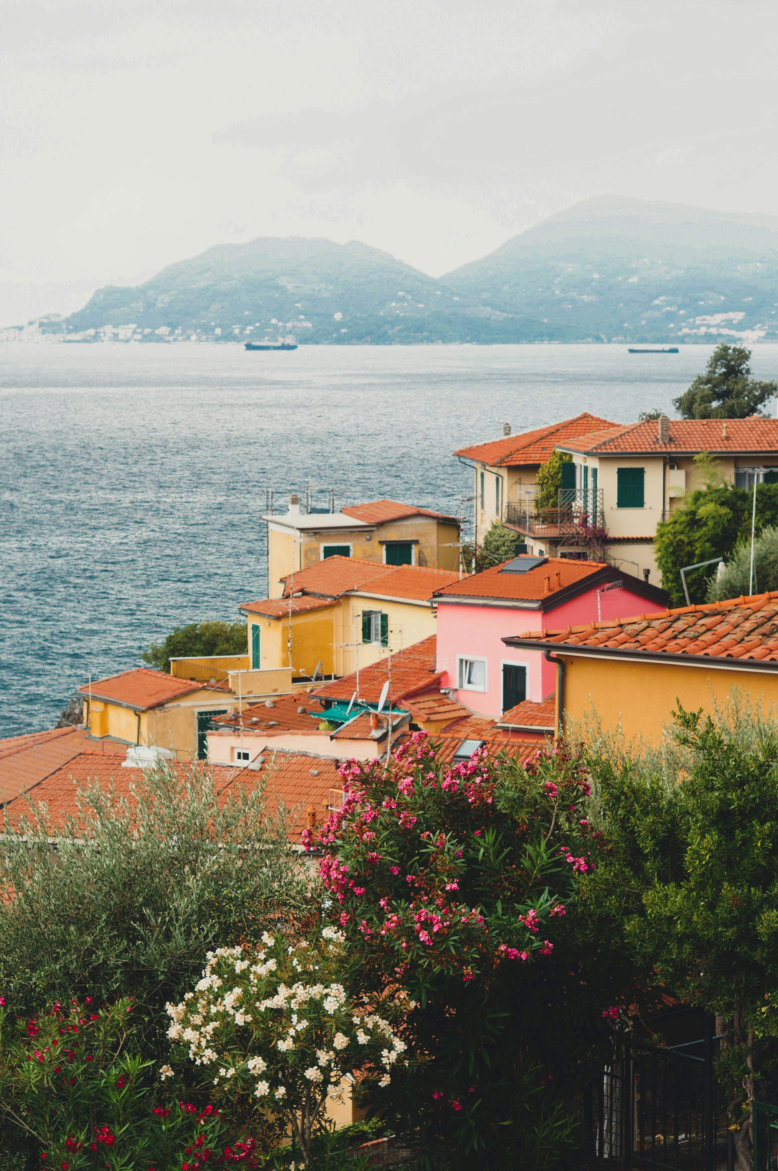 Photo by evgeeeenchik