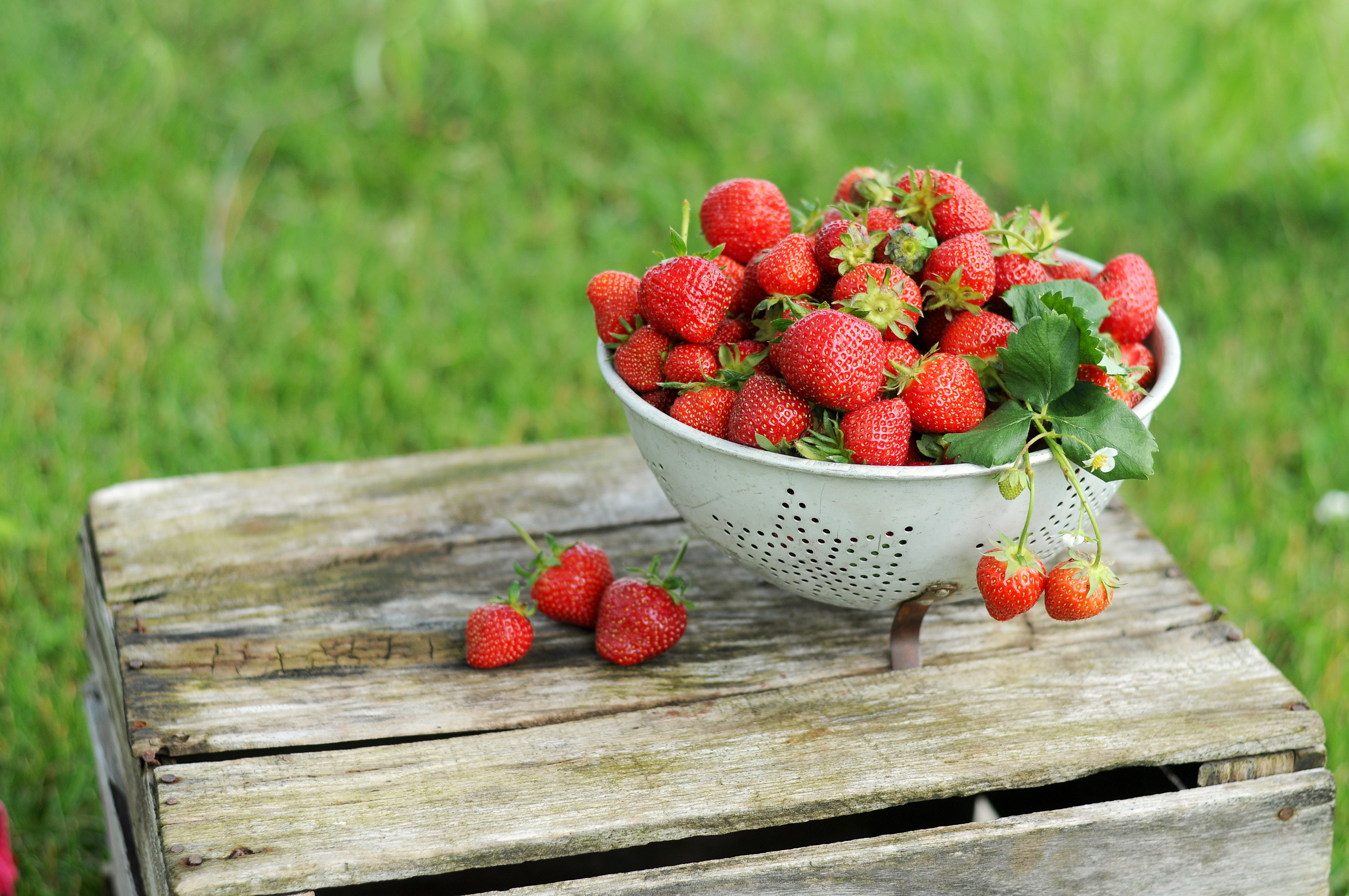 red strawberries on wooden surface and in colandar, Strawberries