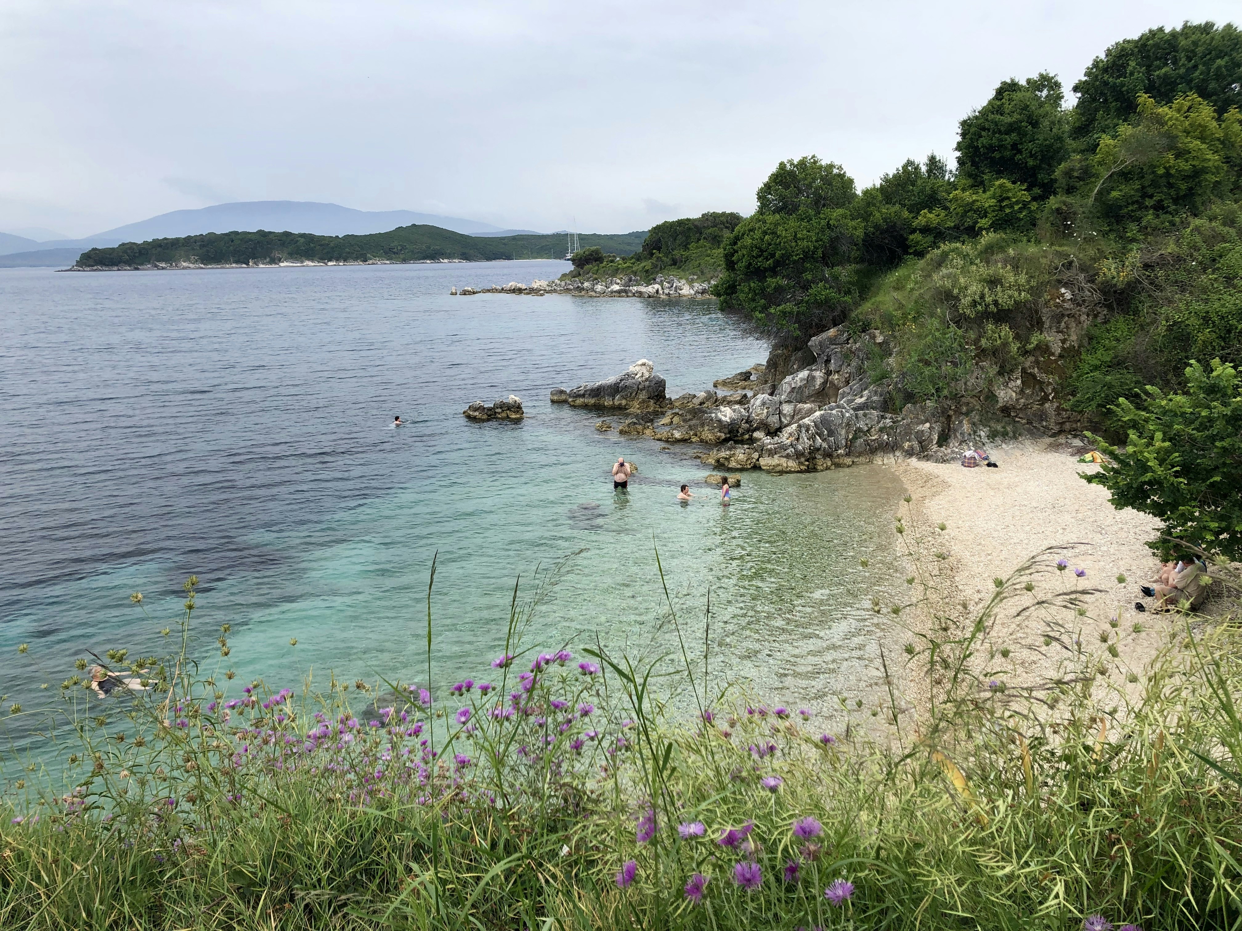 Zavodovski Island Landing Beach view 3