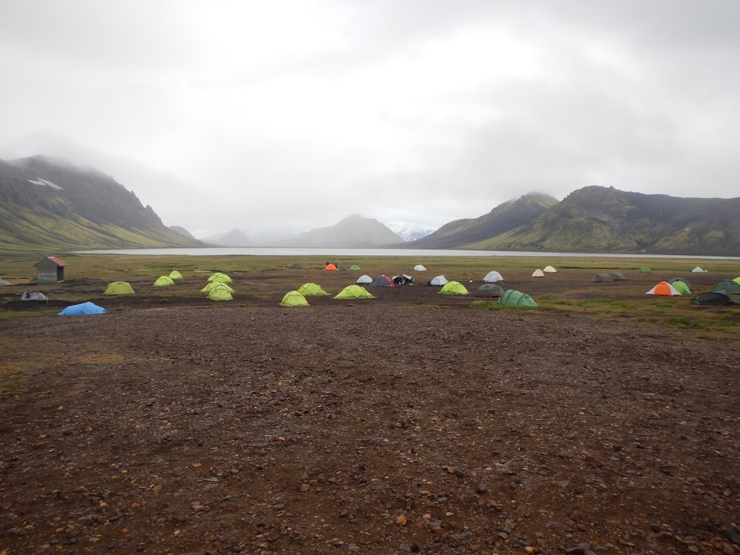 tents on field