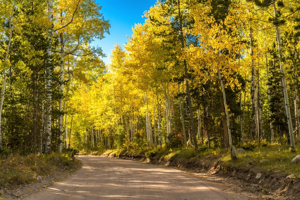 green trees