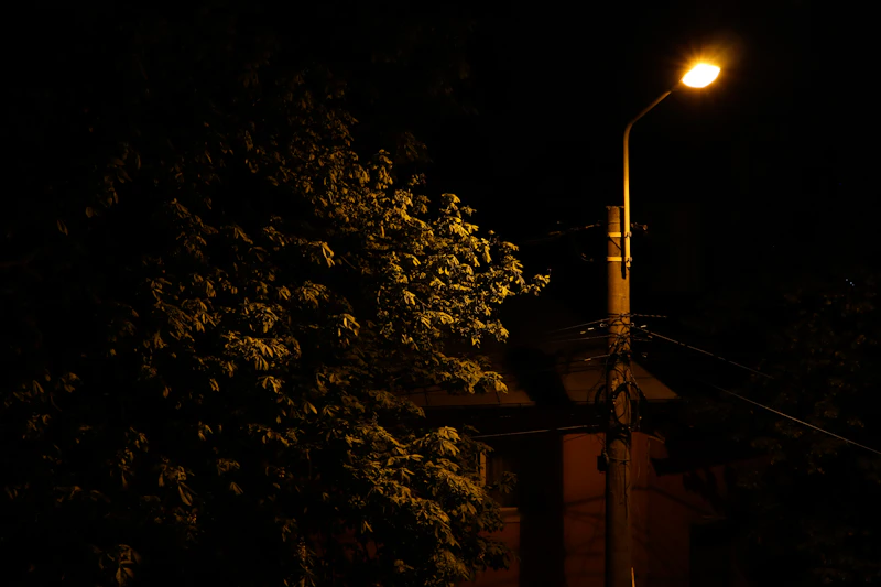 Best Late Night Coffee Places in Bucharest Still Open After Dark