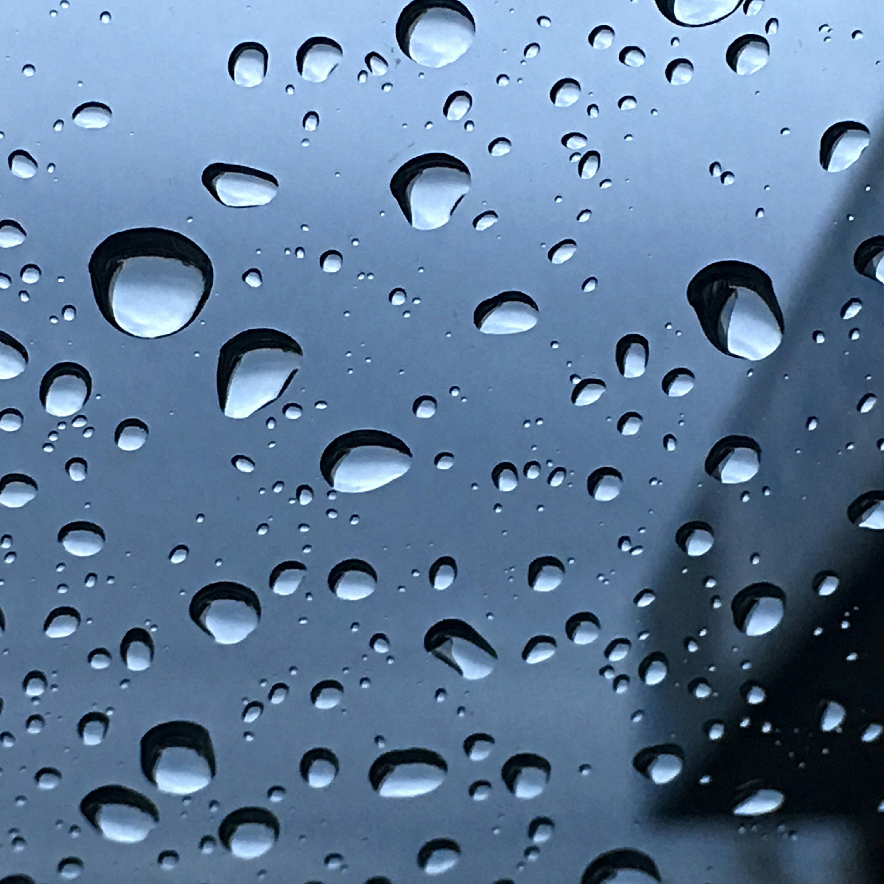 Photo by jbcalligraphy52