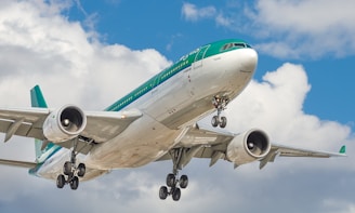 airplane on mid air