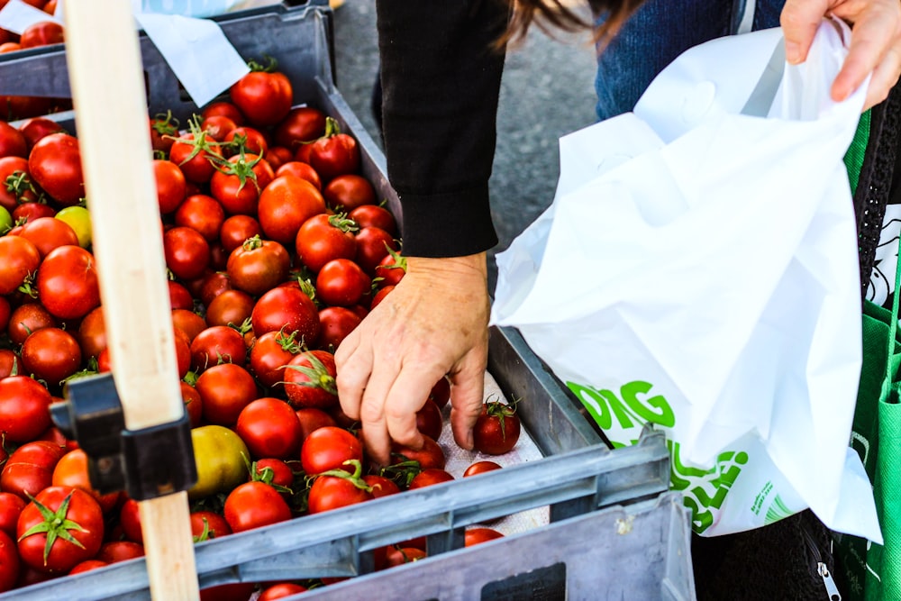 rote Tomaten