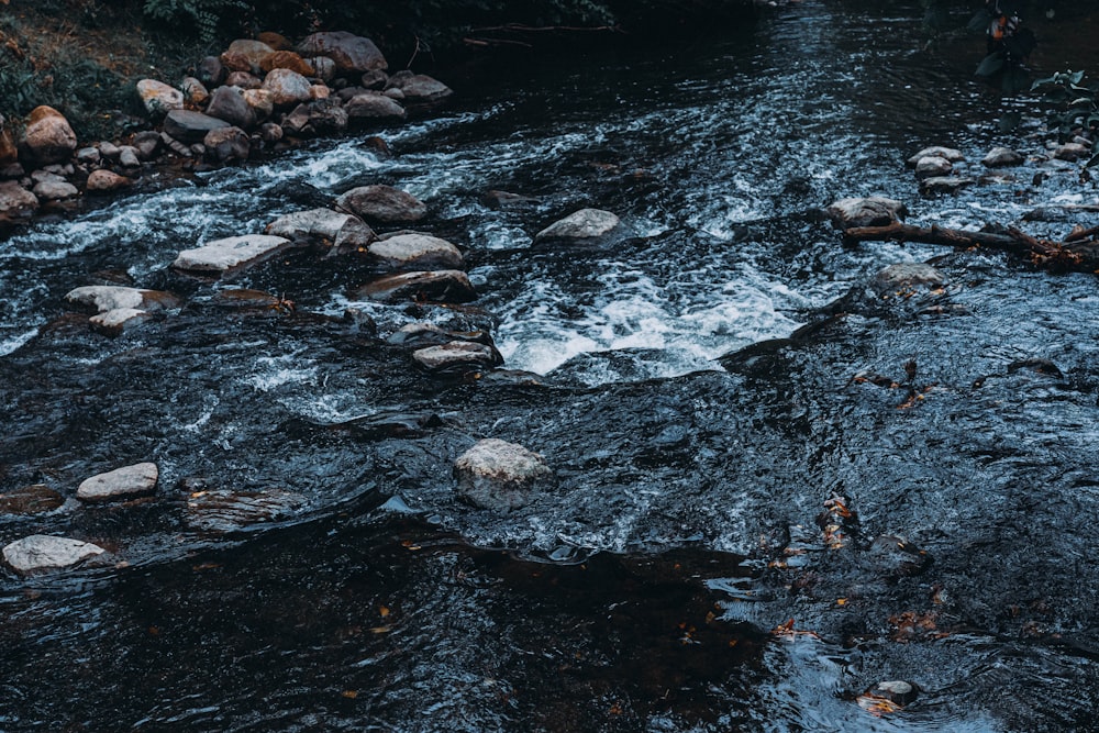 grayscale photo of river with stones