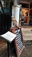 A cat is sitting on a wooden sign outside a cafe, with several framed paintings visible inside and a menu stand nearby. The environment appears artistic and cozy.