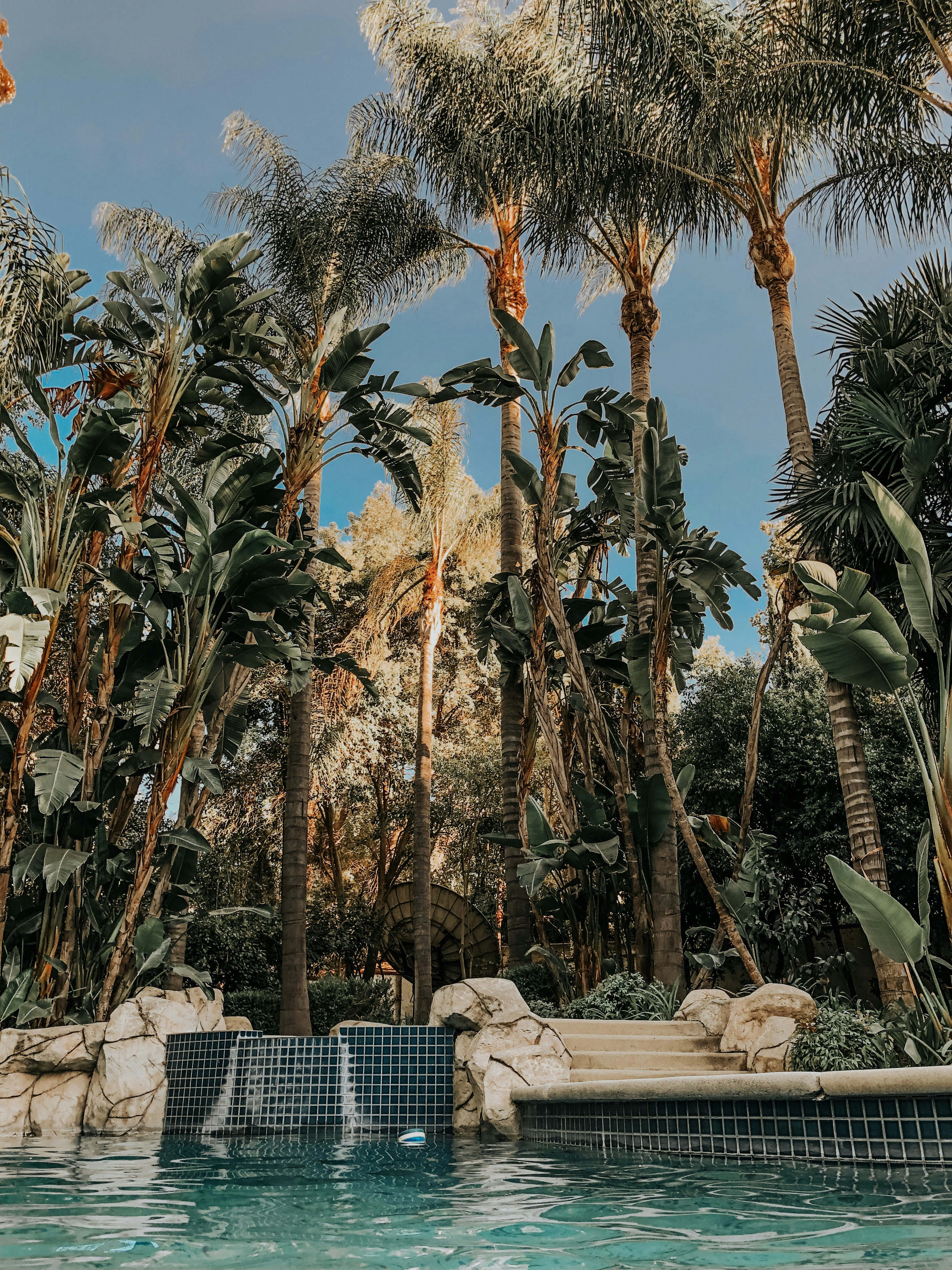 Photo by christopherstark