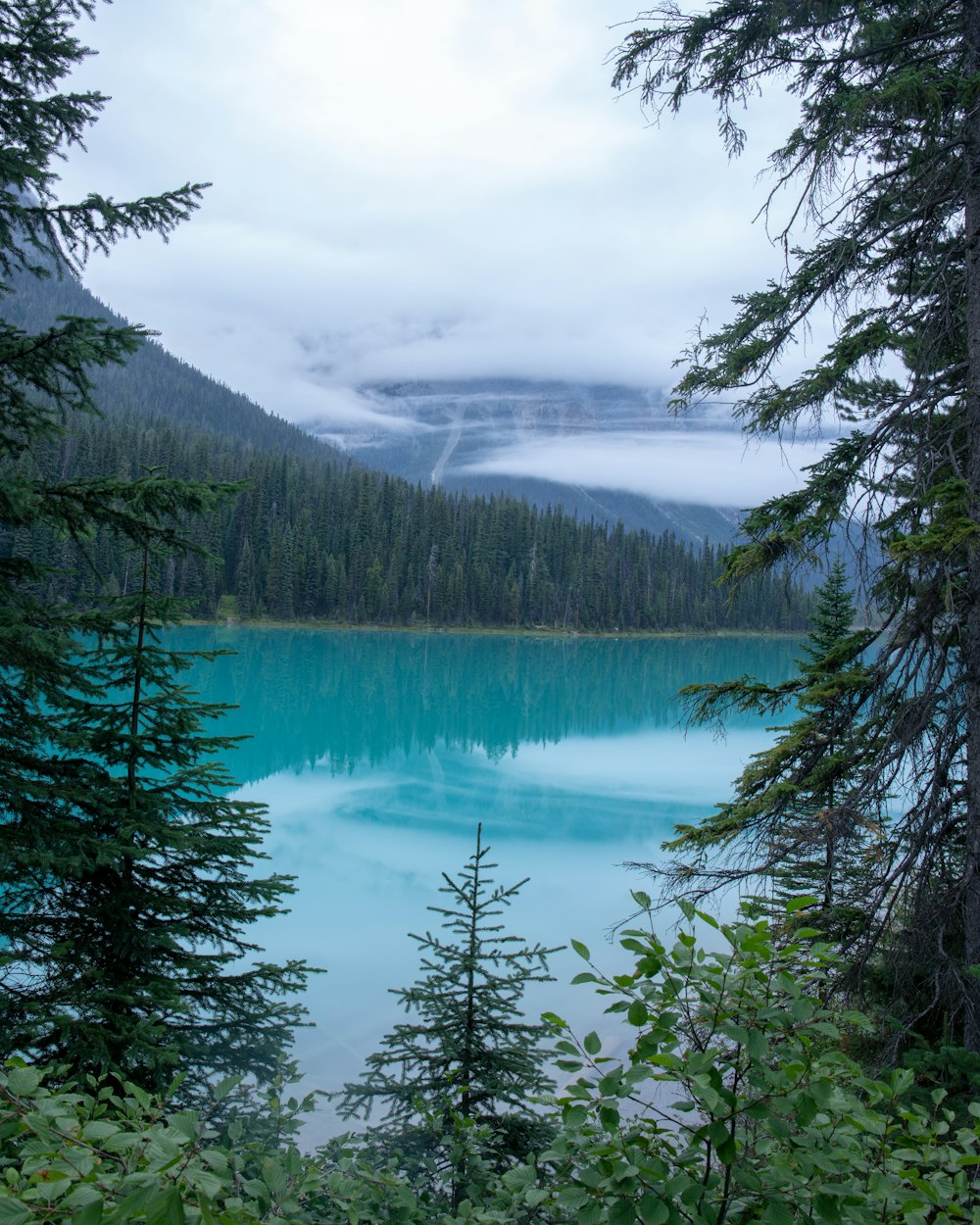 a blue lake surrounded by trees and clouds