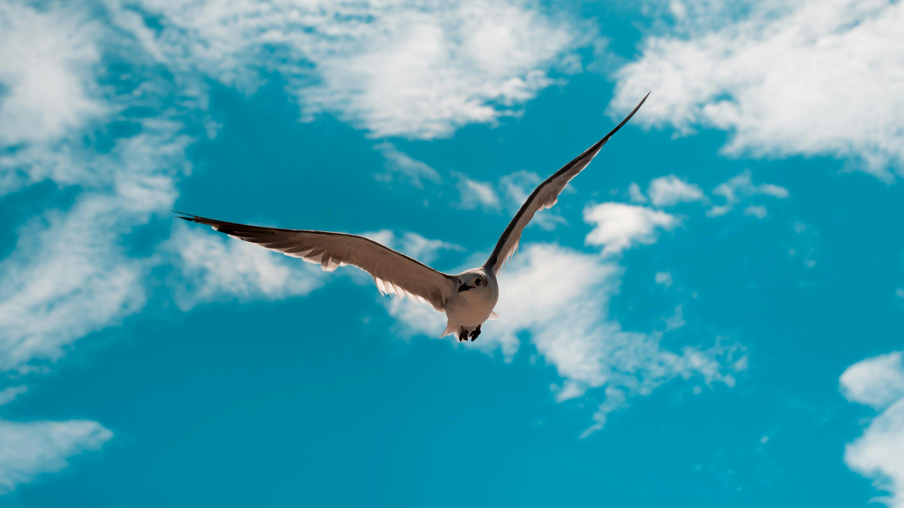 Photo by capturando_instantes