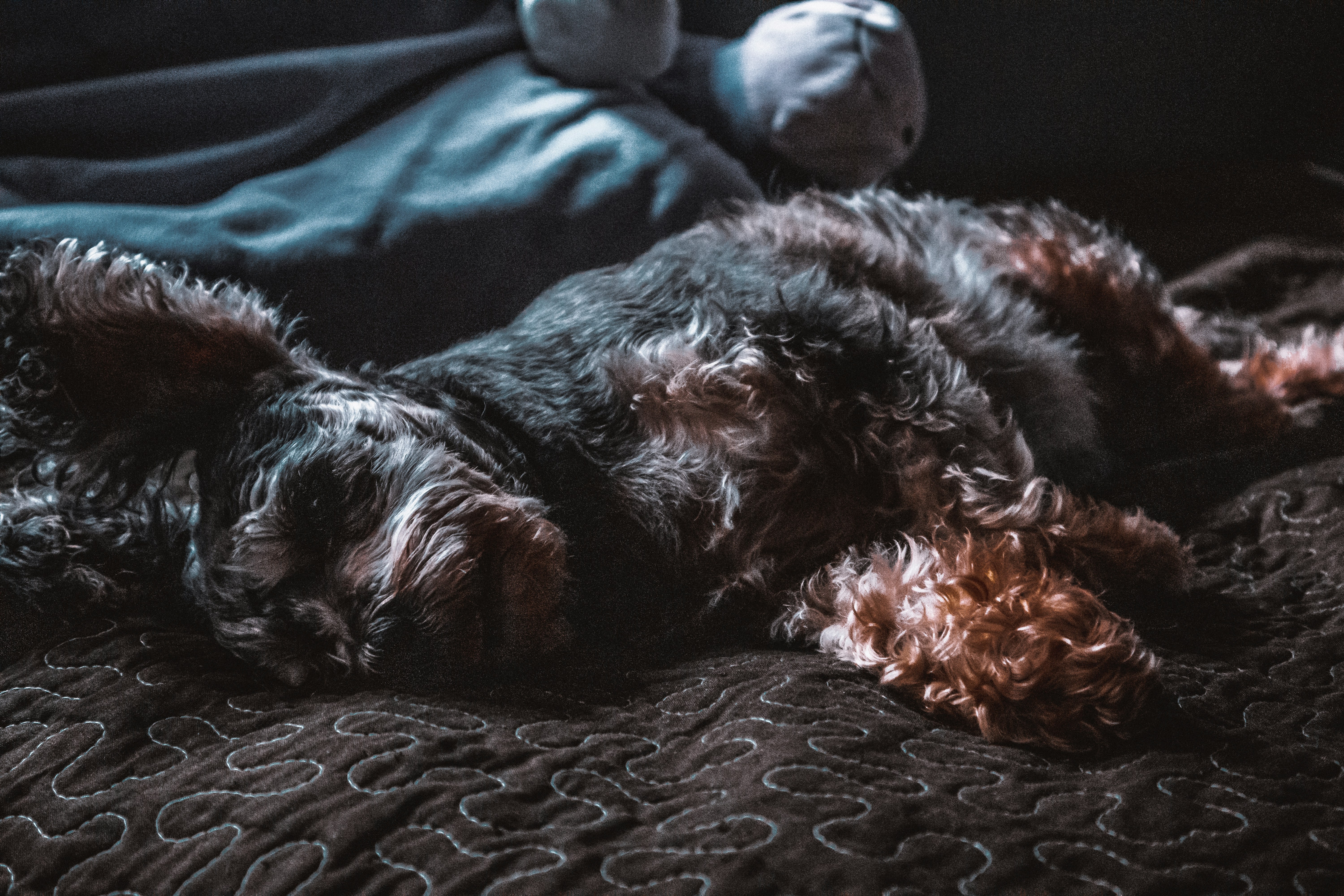 Photo by arsenaldm14