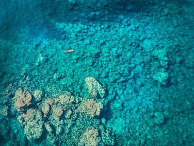 high angle photo of body of water