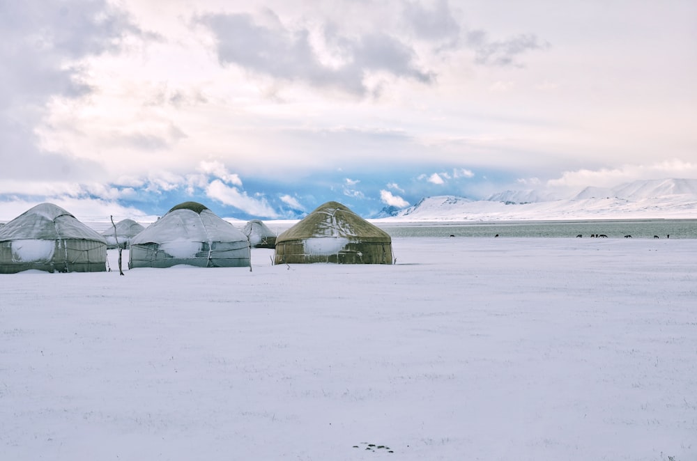 brown sheds surrounded by snow