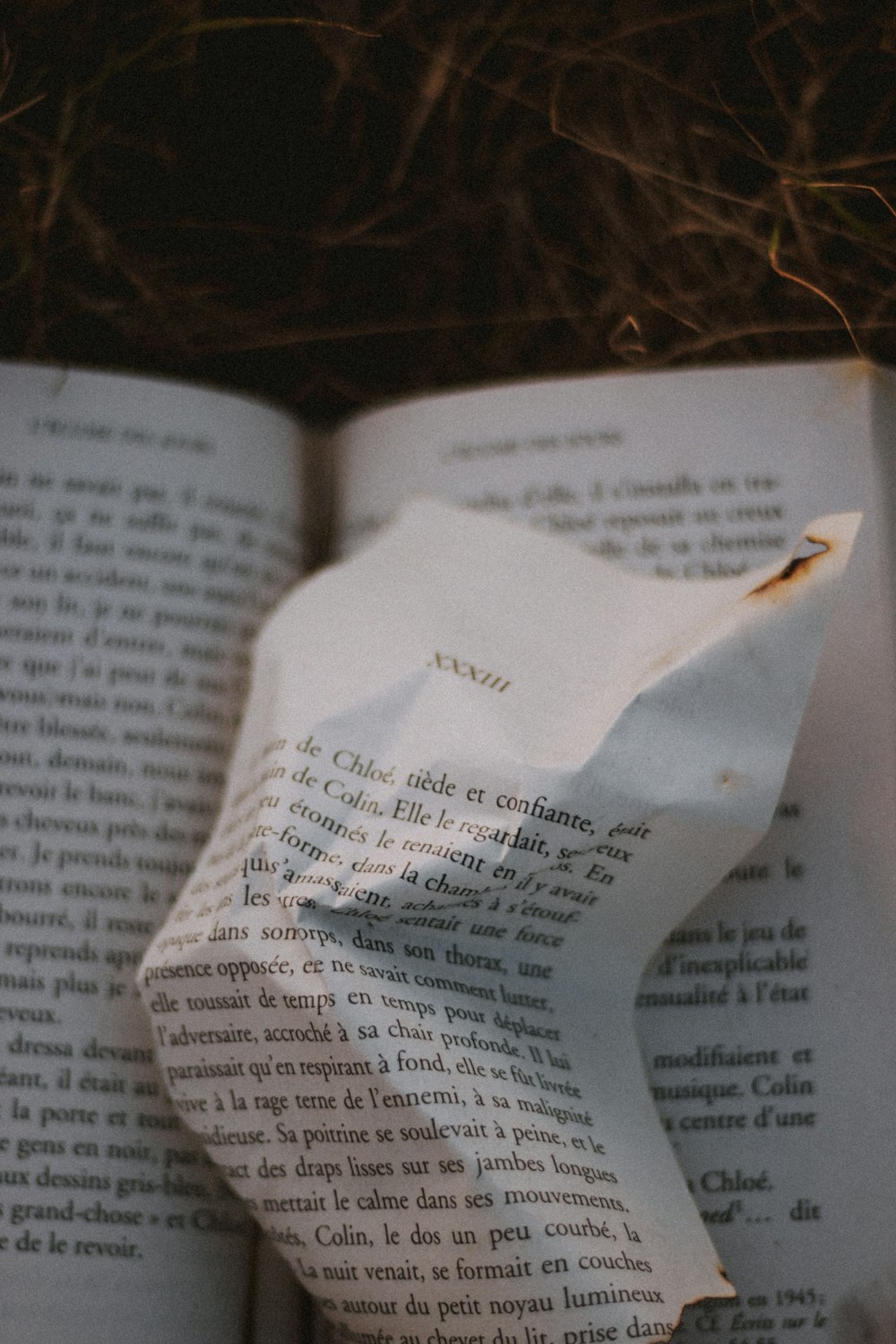 torn book page