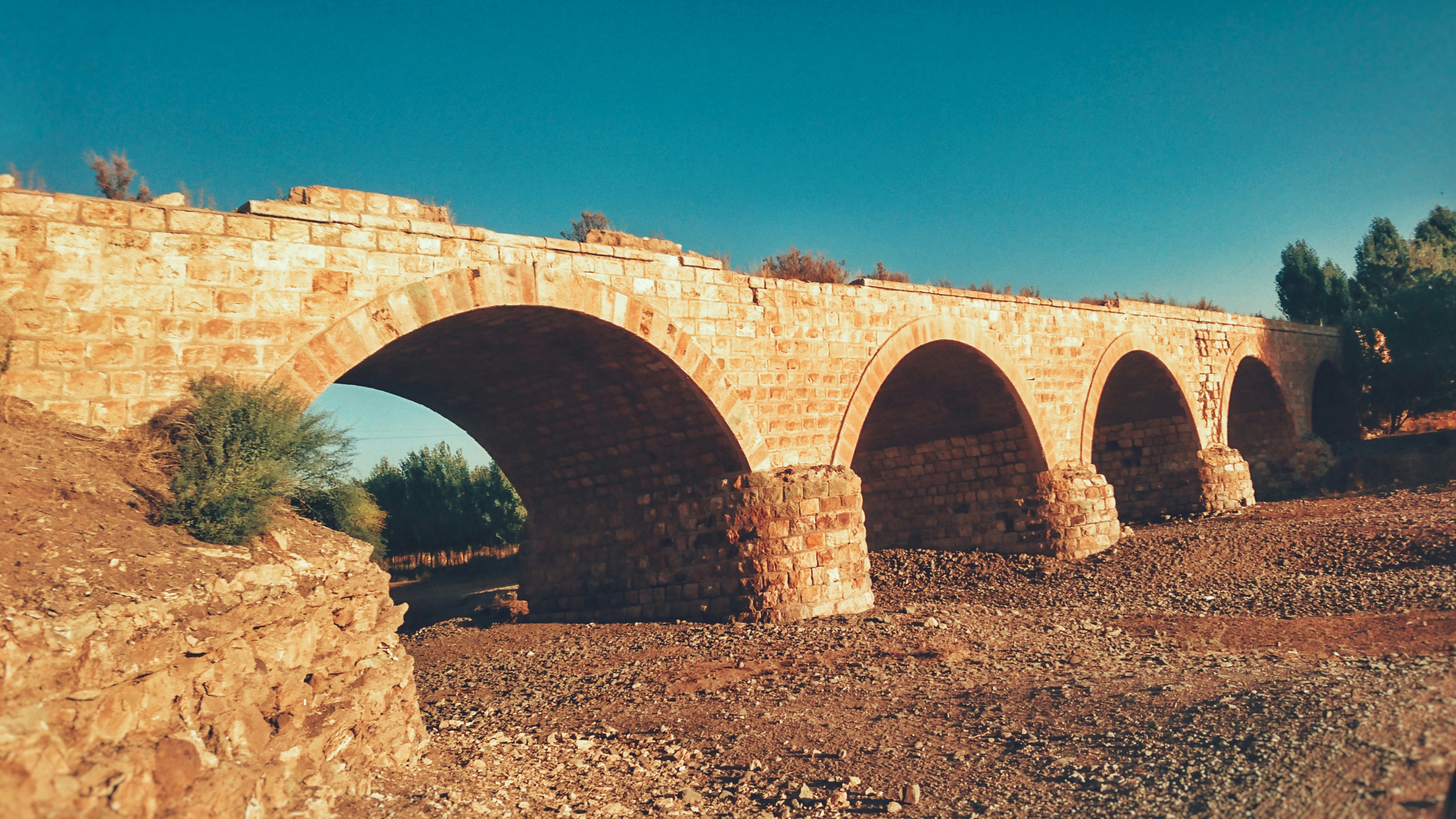 Photo by abdolazimmollaei