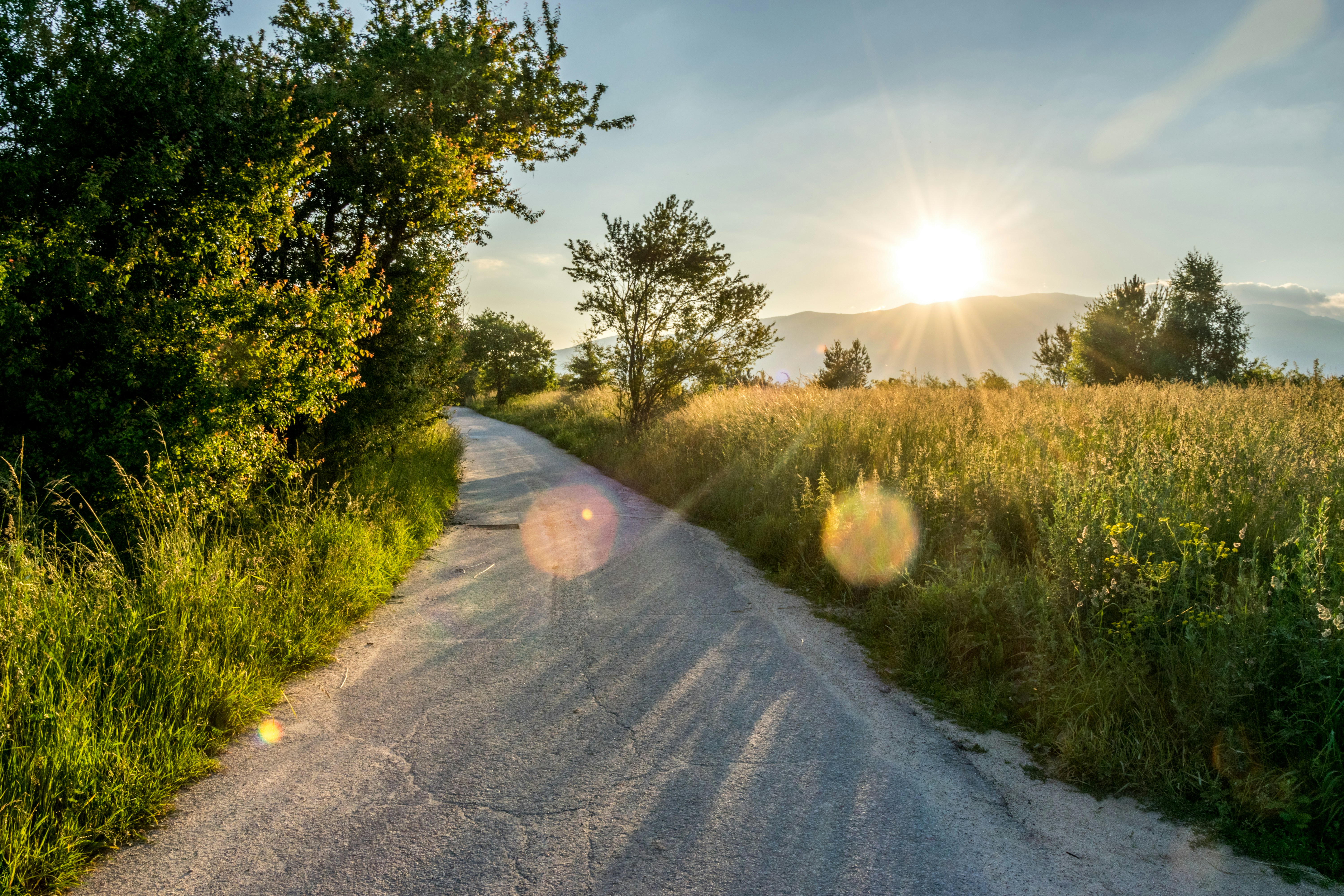 Photo by valeriterziiski