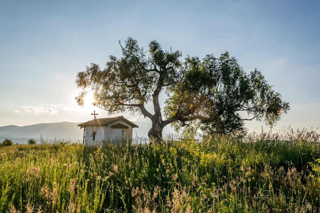 Natural landscape photo spot Plana Sofia