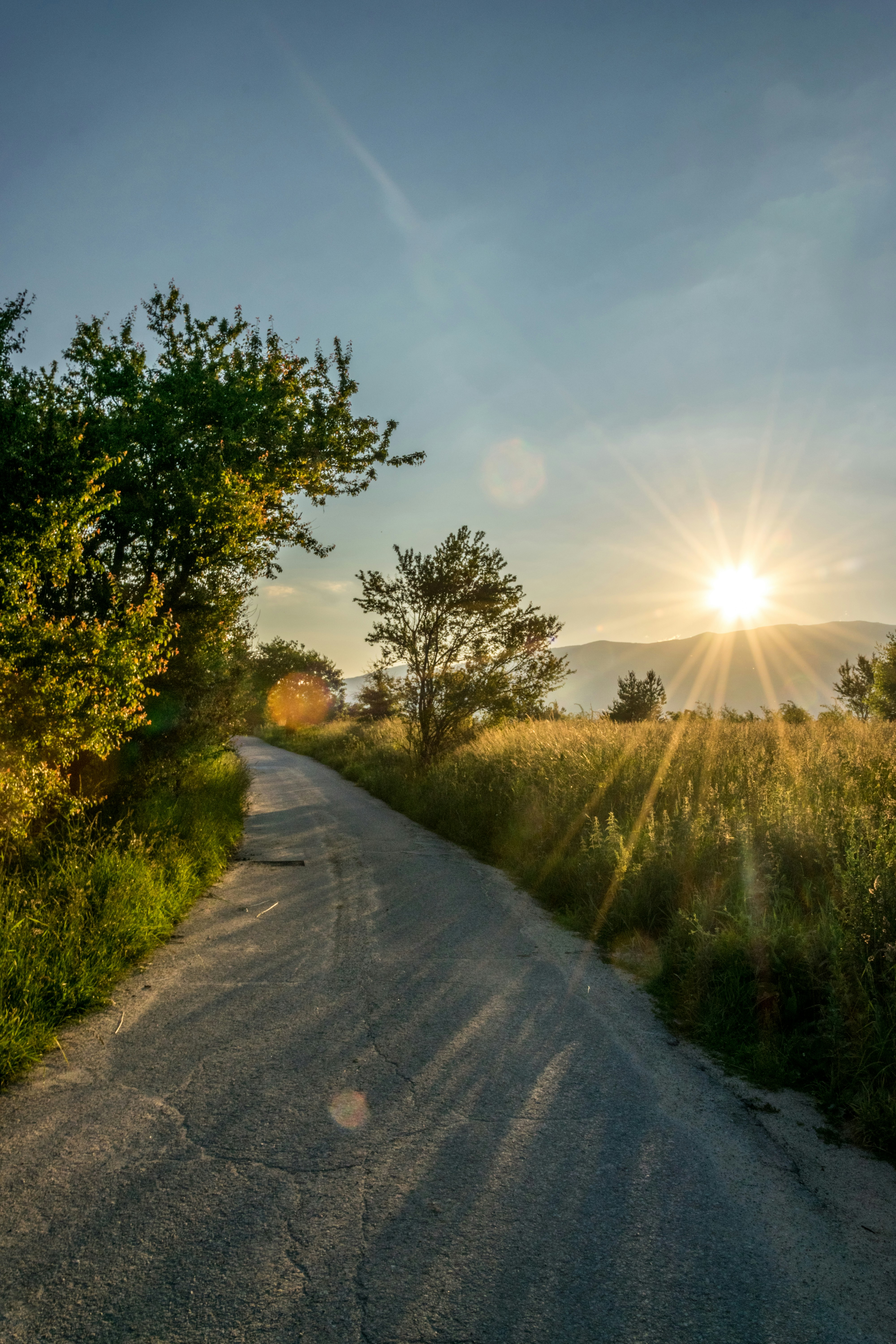 Photo by valeriterziiski