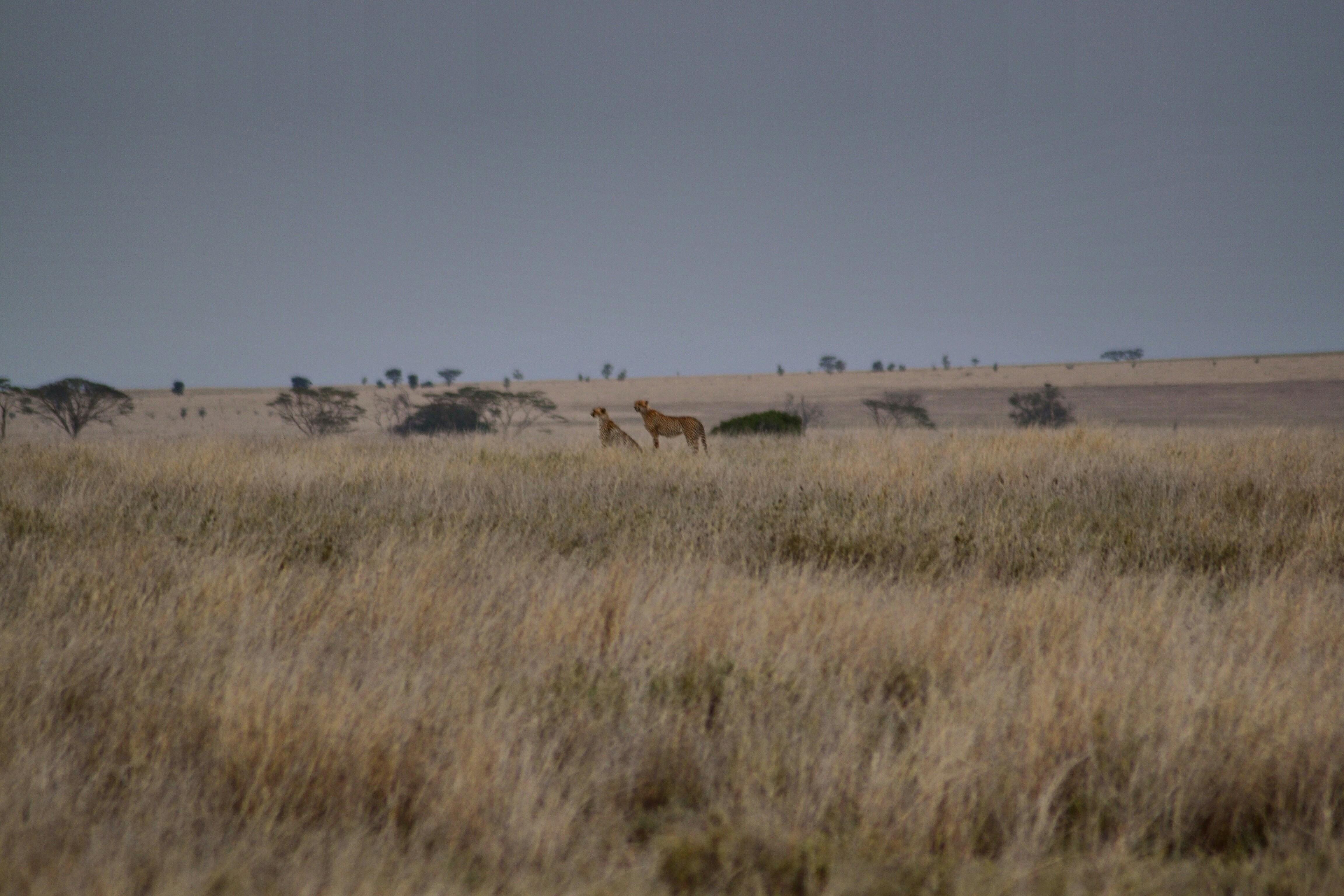 Photo by overwritebyvera