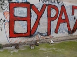 A spray-painted wall features large red letters with black outlines. In front of the graffiti are four cats sitting on the ground, which is covered in green moss.