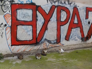 A spray-painted wall features large red letters with black outlines. In front of the graffiti are four cats sitting on the ground, which is covered in green moss.
