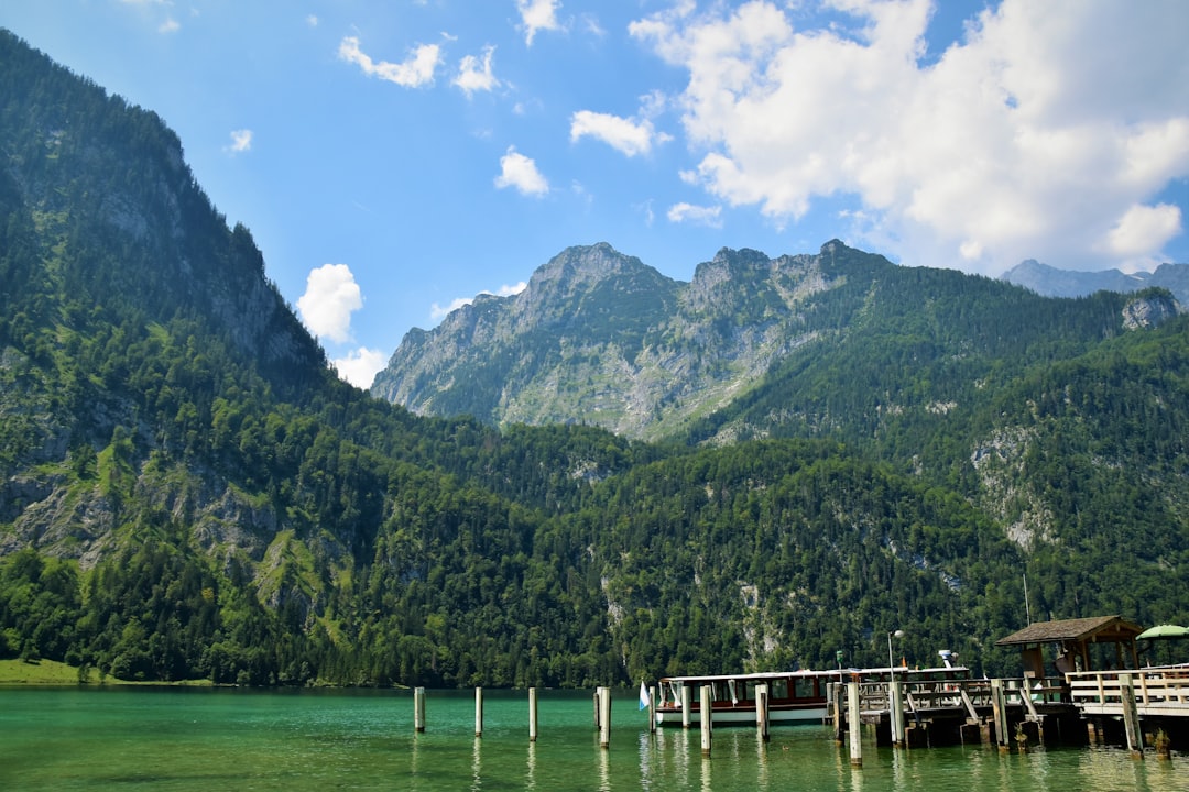 green covered mountain