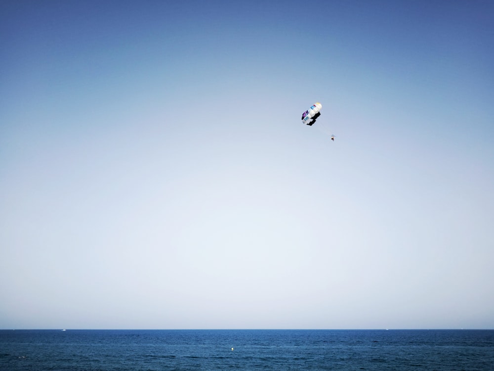 person paragliding above sea during daytime