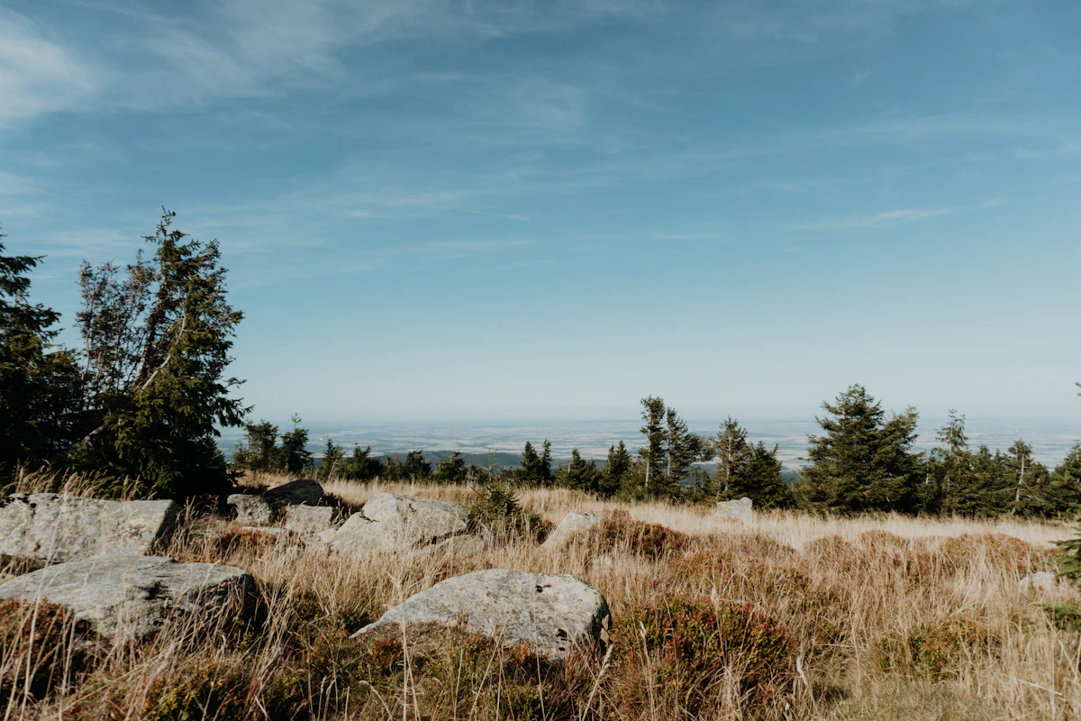 Fichten und Felsen im Harz mit Blick vom Brocken in die Weite