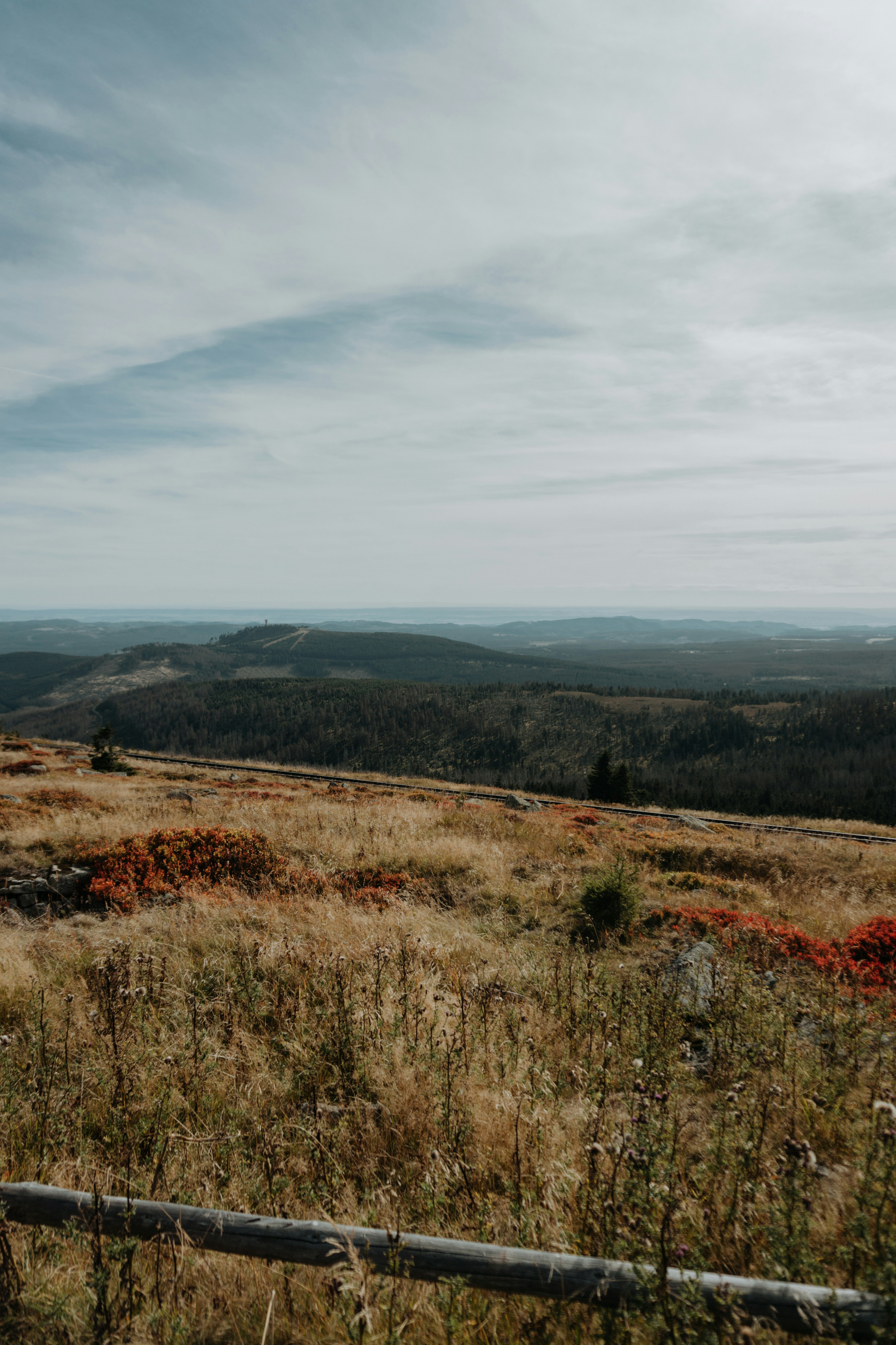 Photo by marinareich