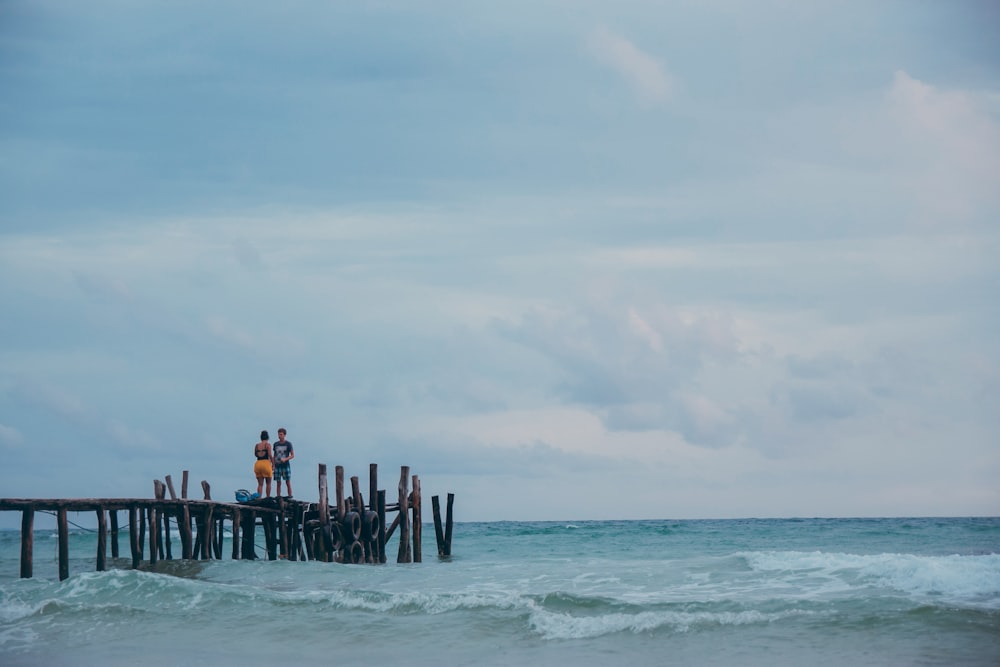 brown wooden beach dock