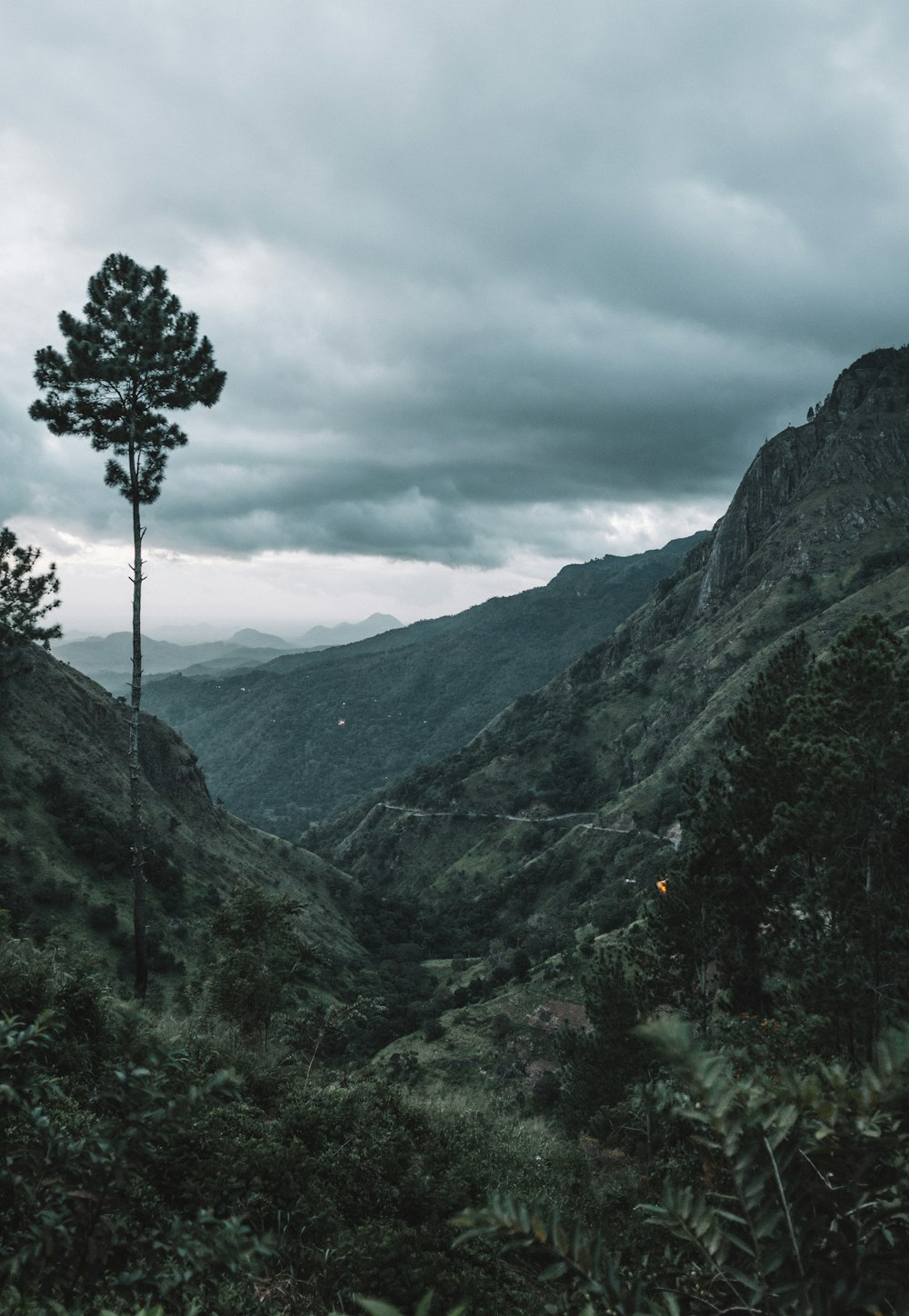 a lone tree in the middle of a valley