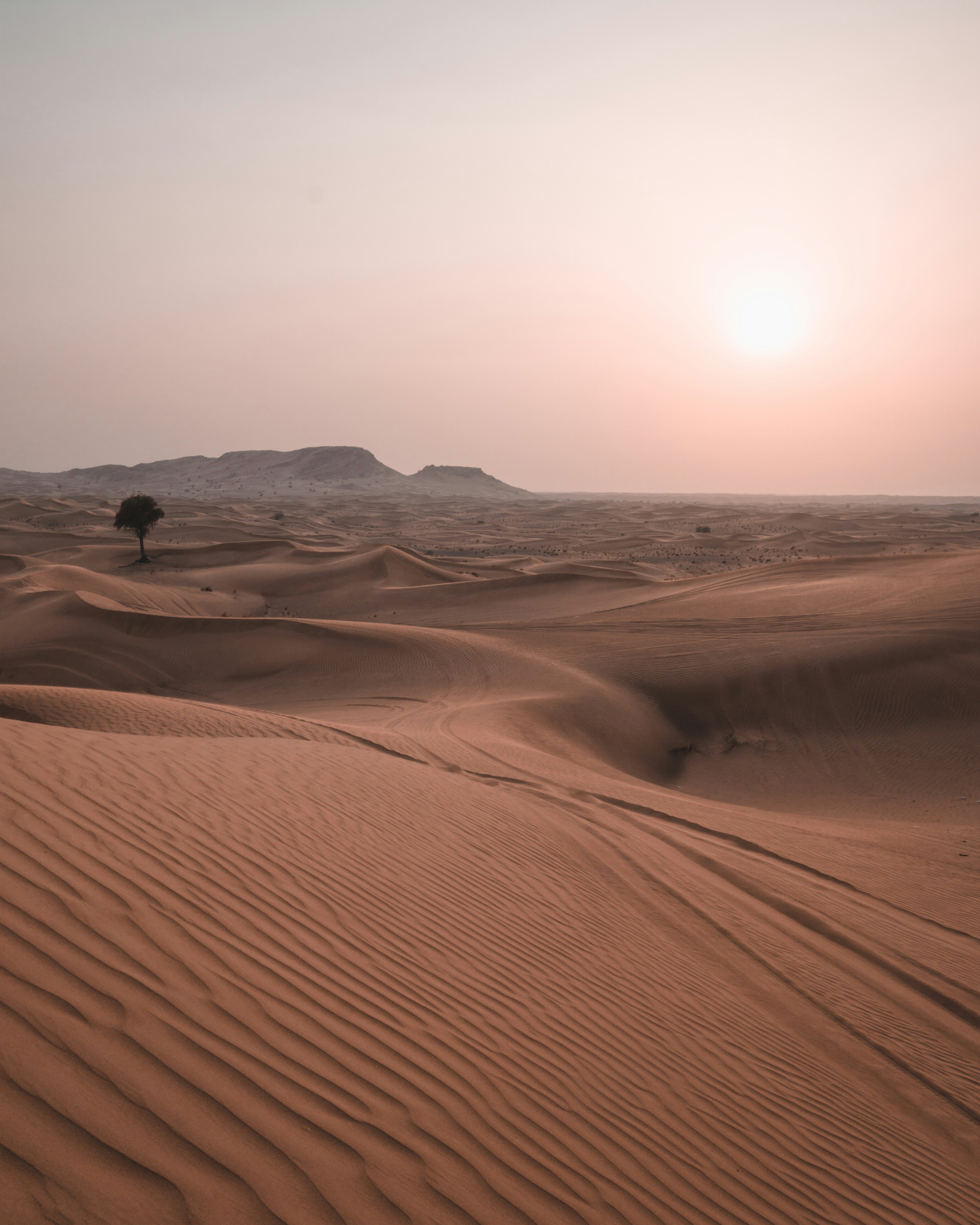 AI Detects a 5,000-Year-Old City