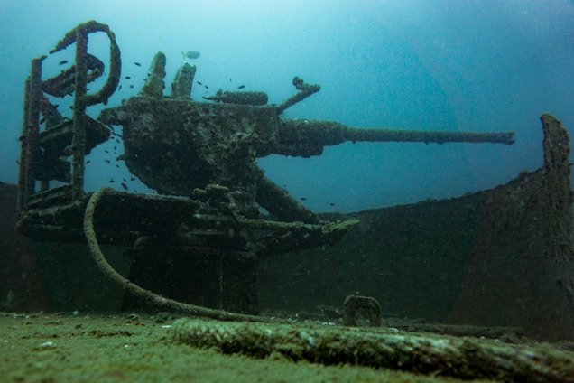 A submerged, rusty artillery gun is surrounded by the remnants of a shipwreck, resting on the ocean floor. Marine life, including small fish, swim around the structure, which is covered in algae and encrusted with barnacles.