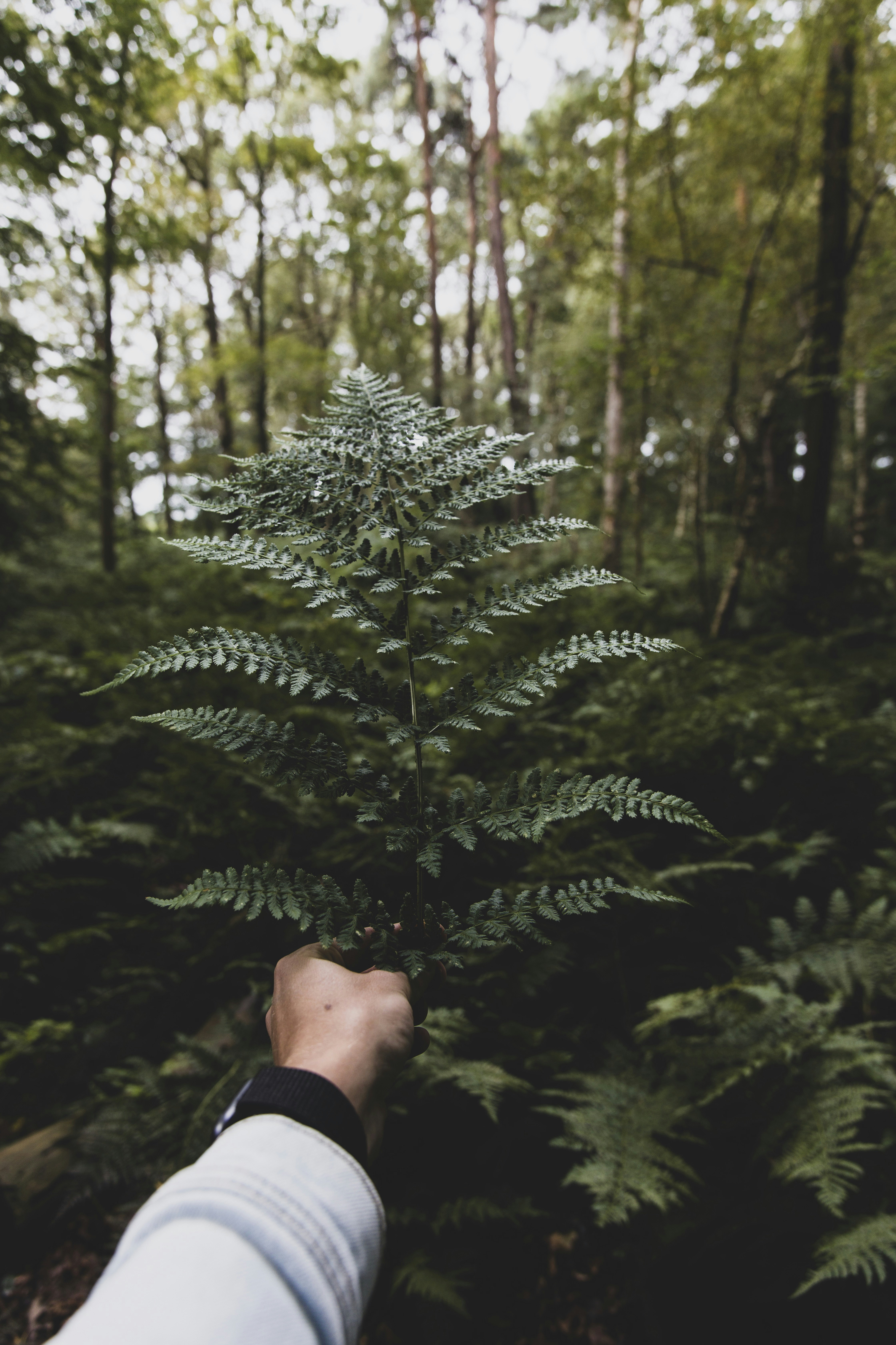 Photo by ronaldvdkloet