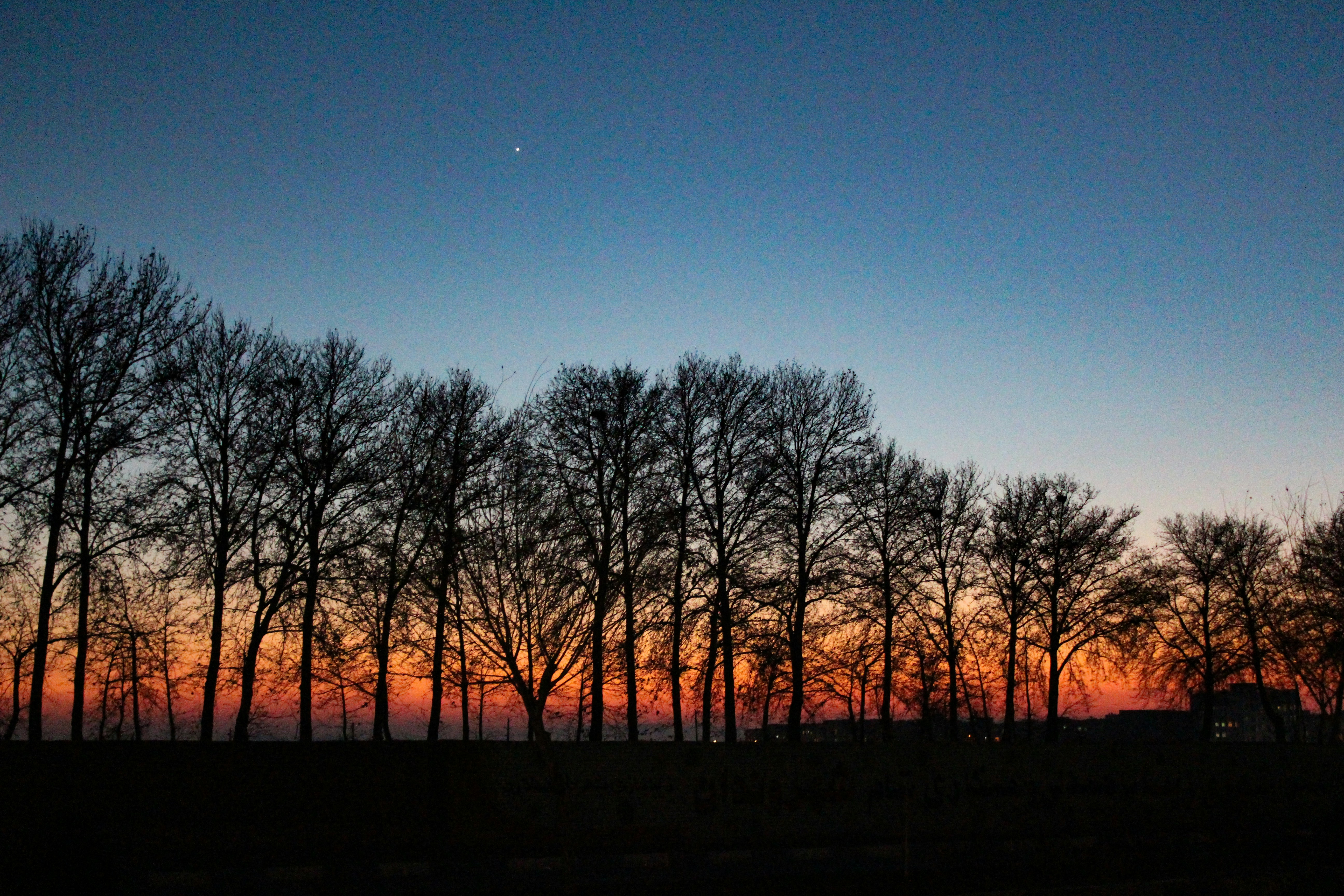 Photo by nasimkeshmiri