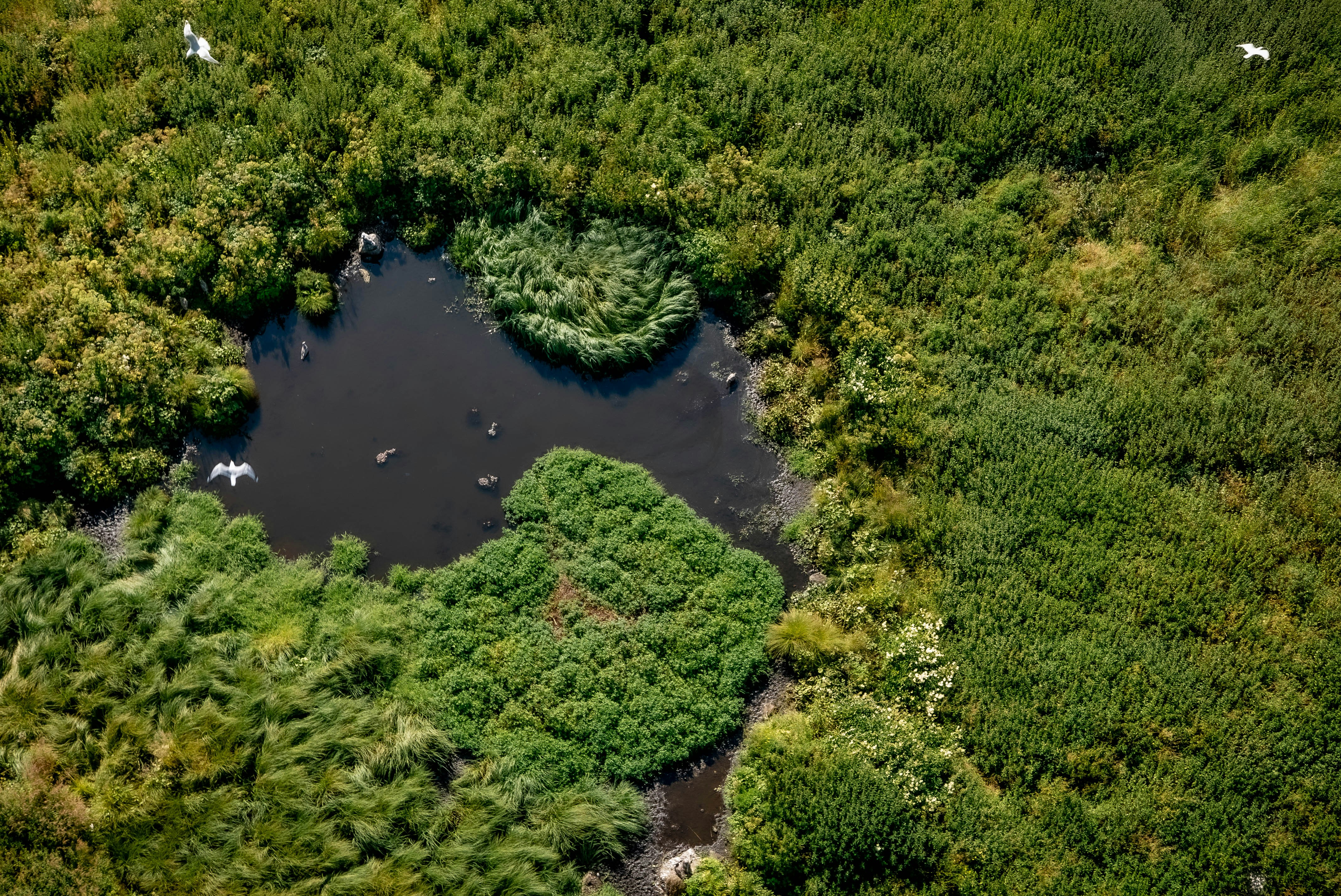 Bodø, Norway - Saltstraumen, Bodø, Norway.
