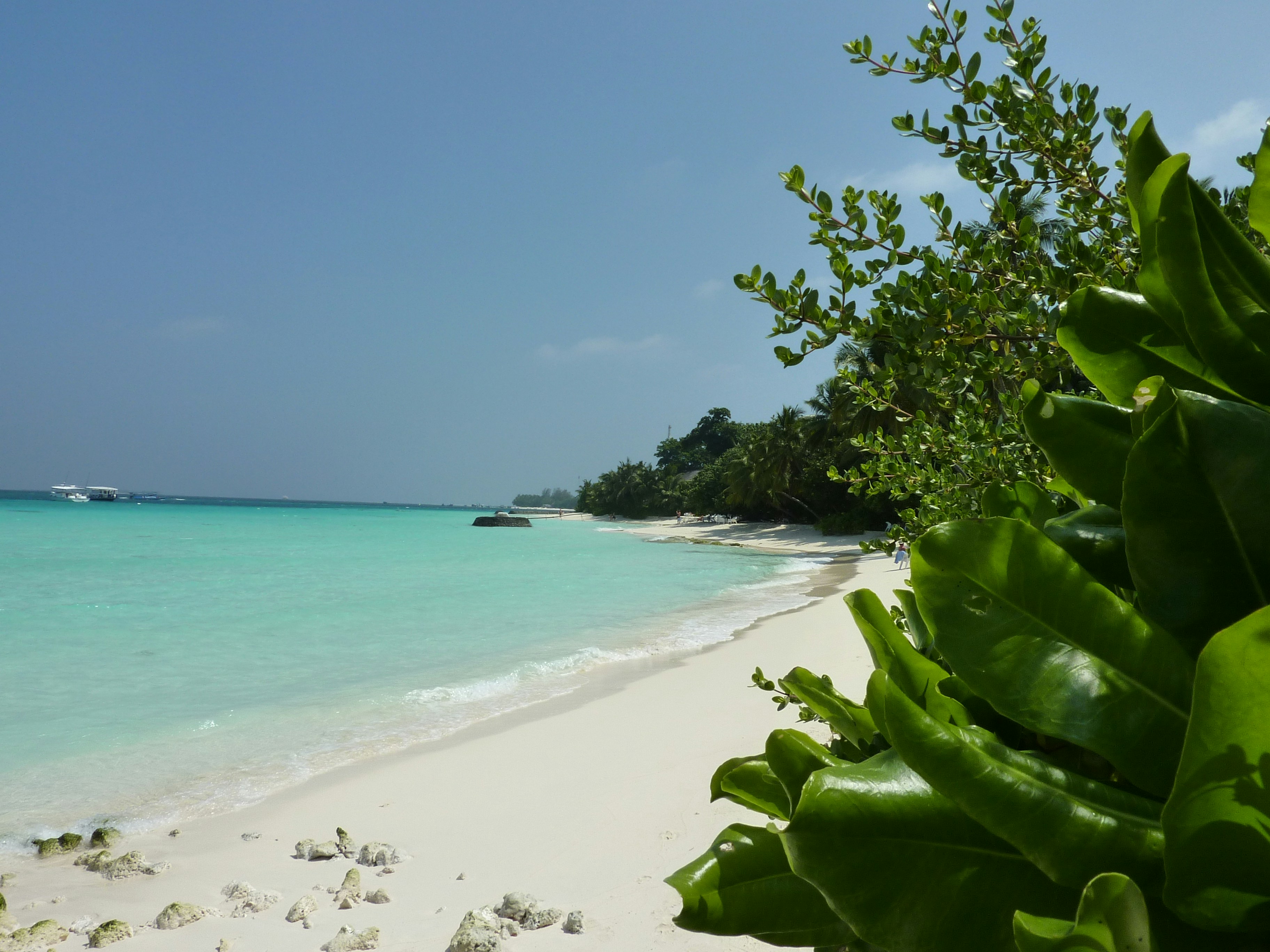 Photo by thehomehero