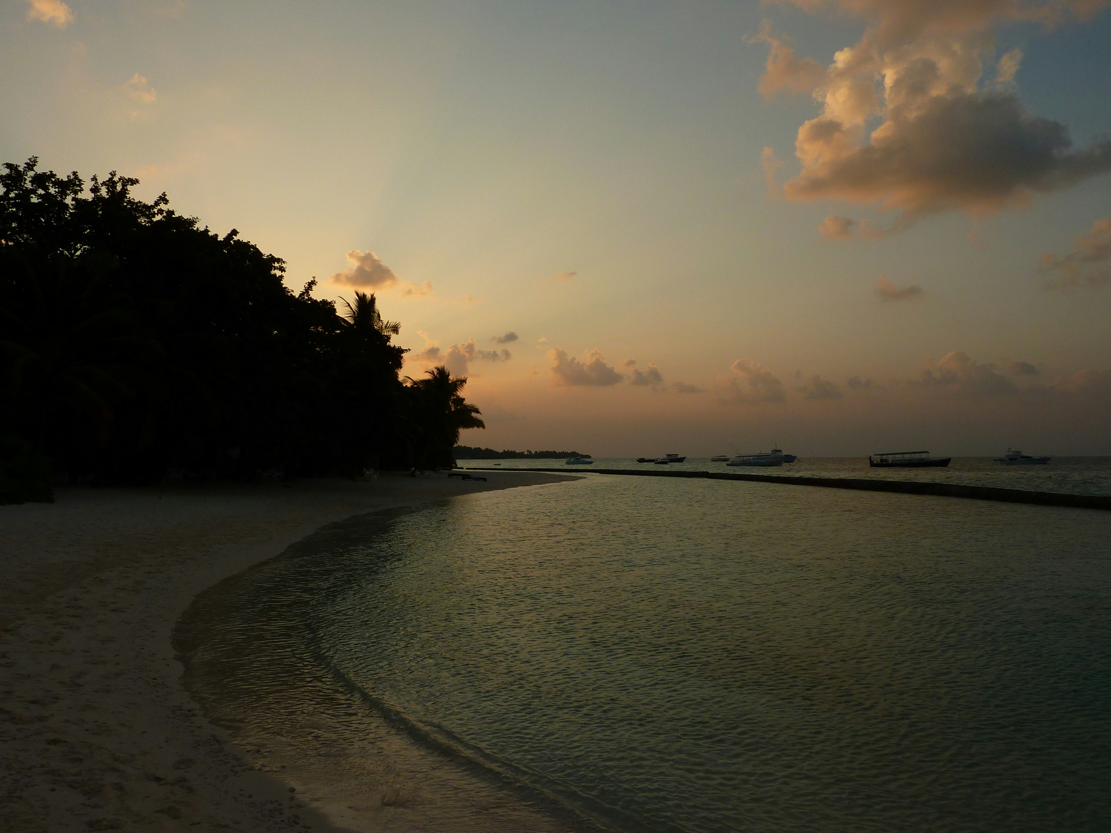 Photo by thehomehero