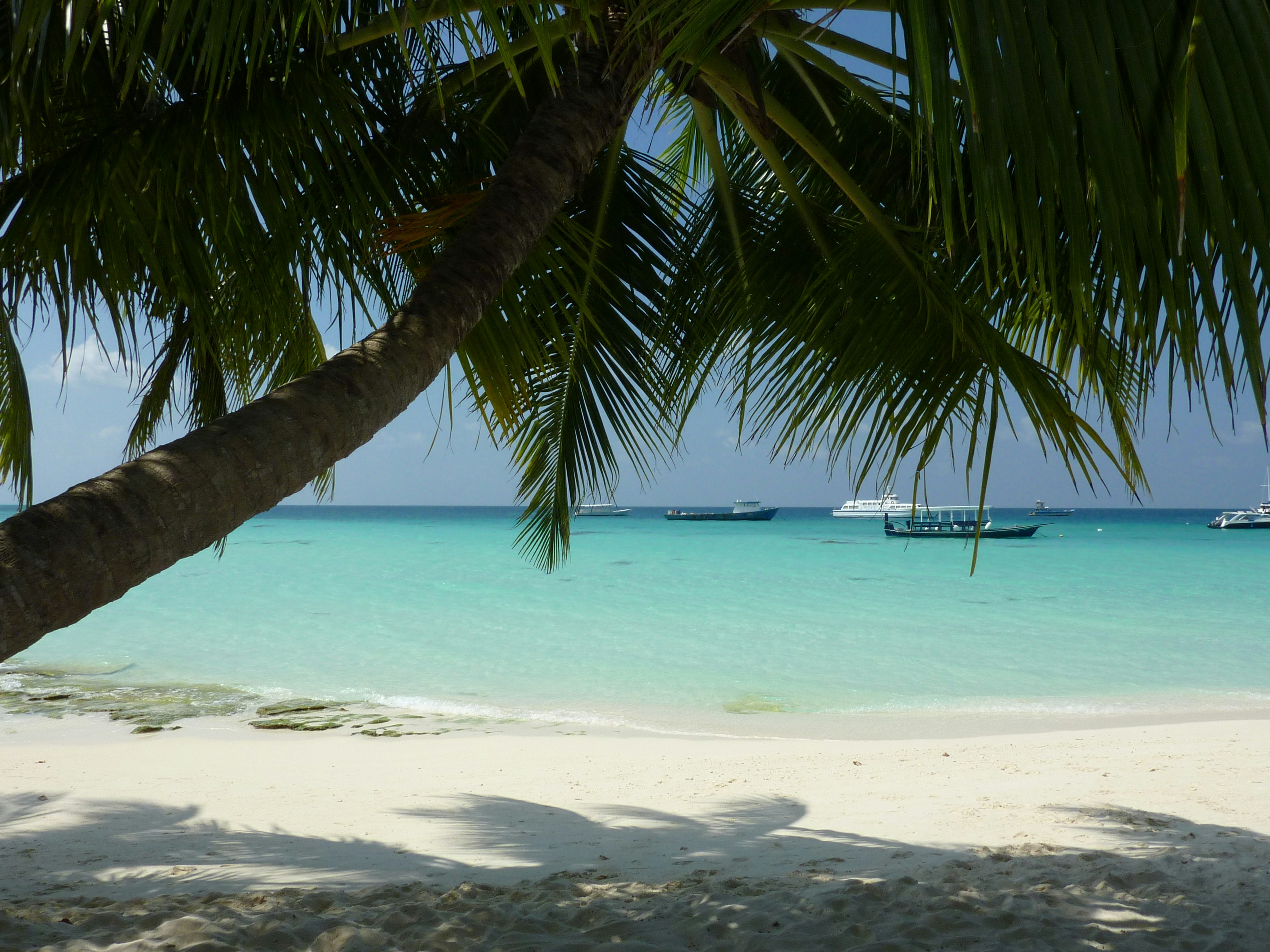 Photo by thehomehero