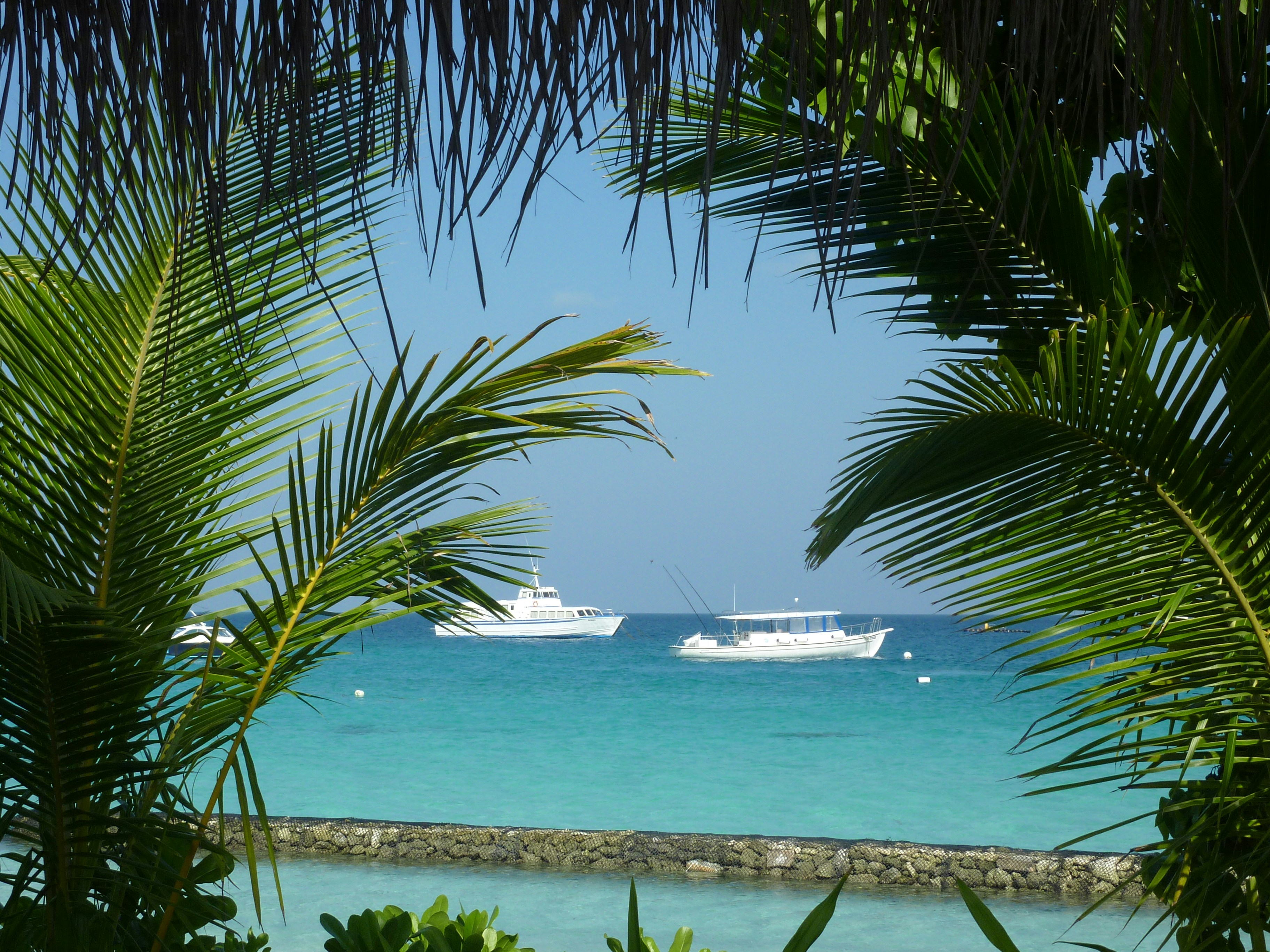 Photo by thehomehero