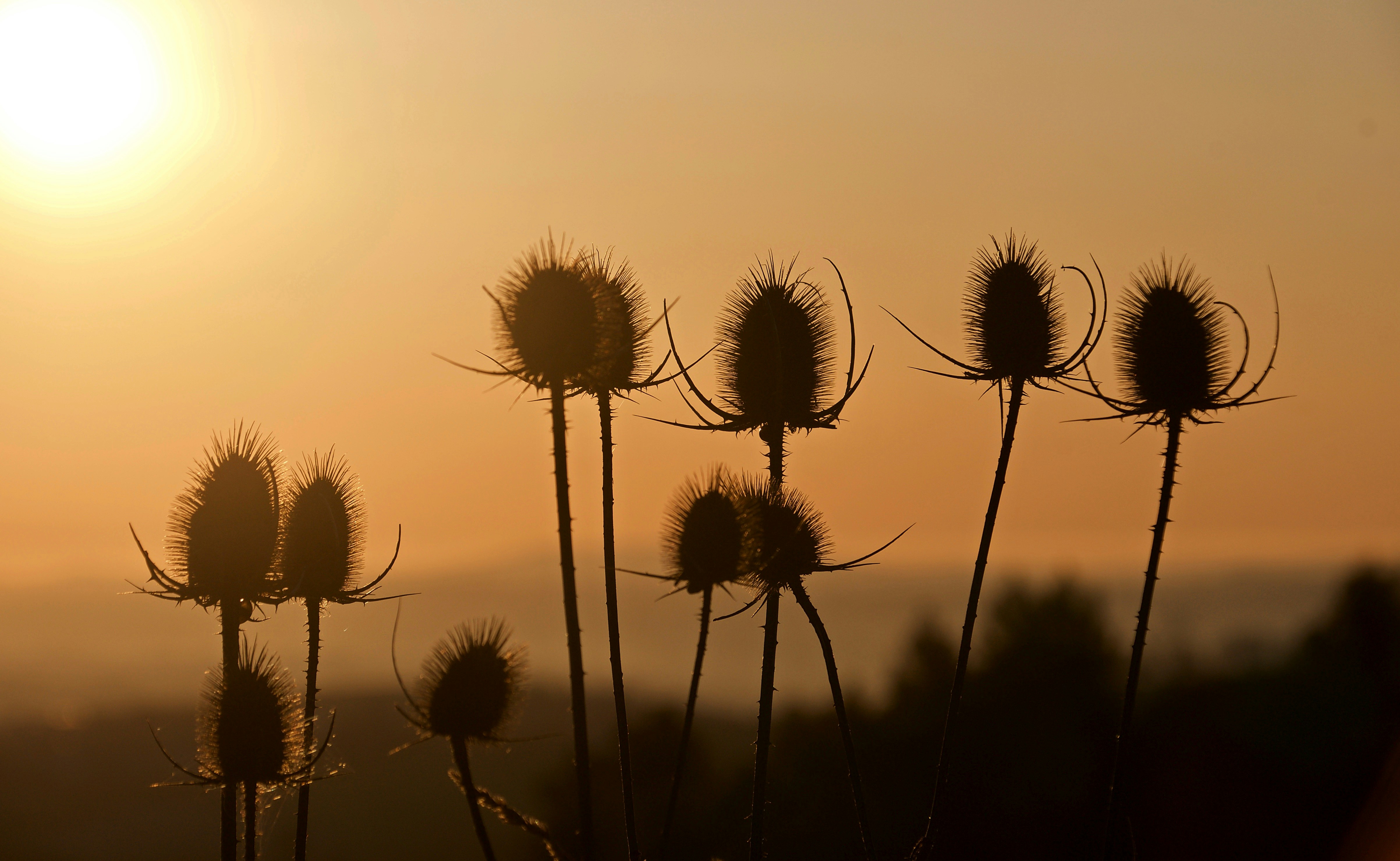 Photo by mariobeducci